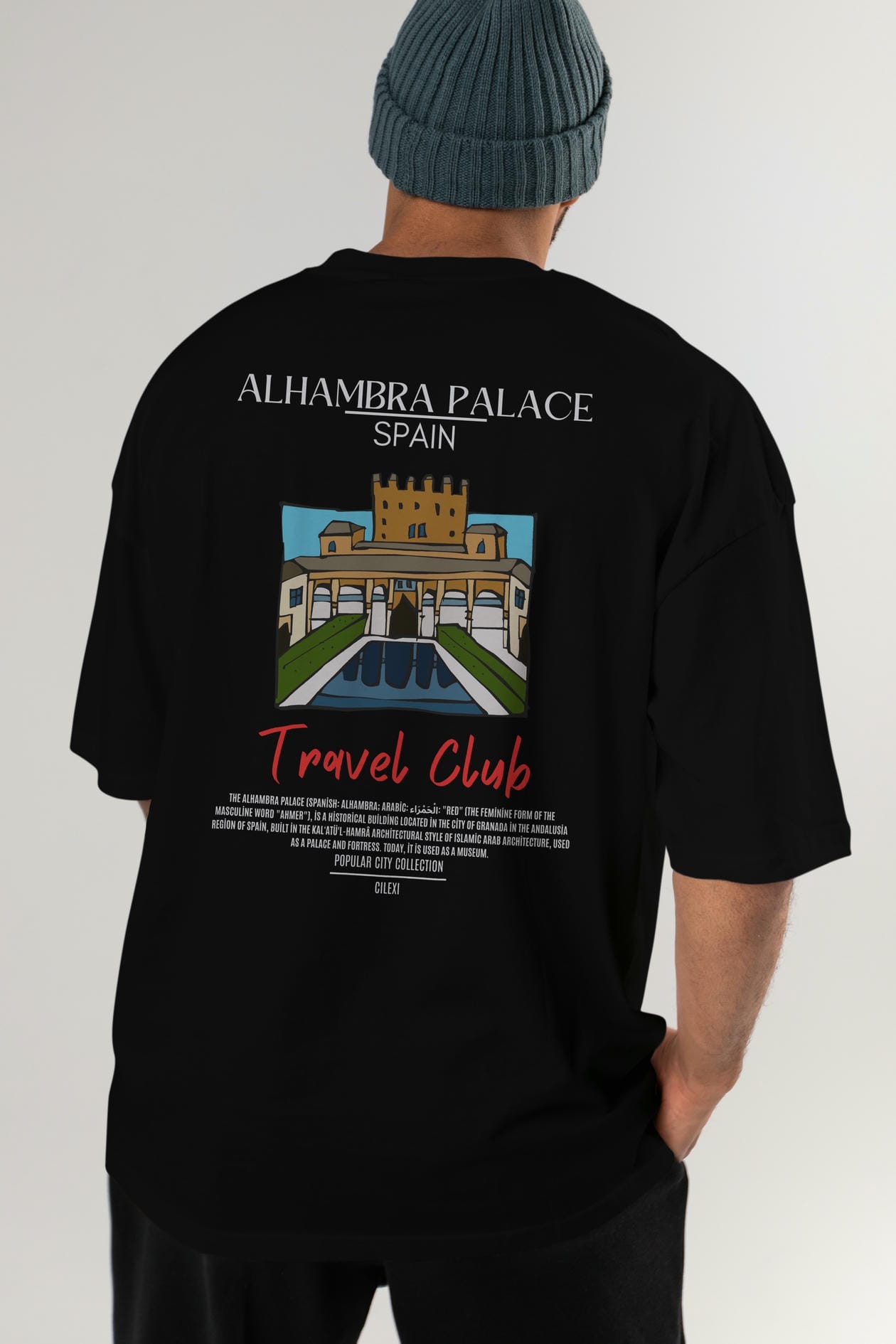 Alhambra Palace Spain Arka Baskılı Oversize t-shirt Erkek Kadın Pamuk Bisiklet Yaka tişort