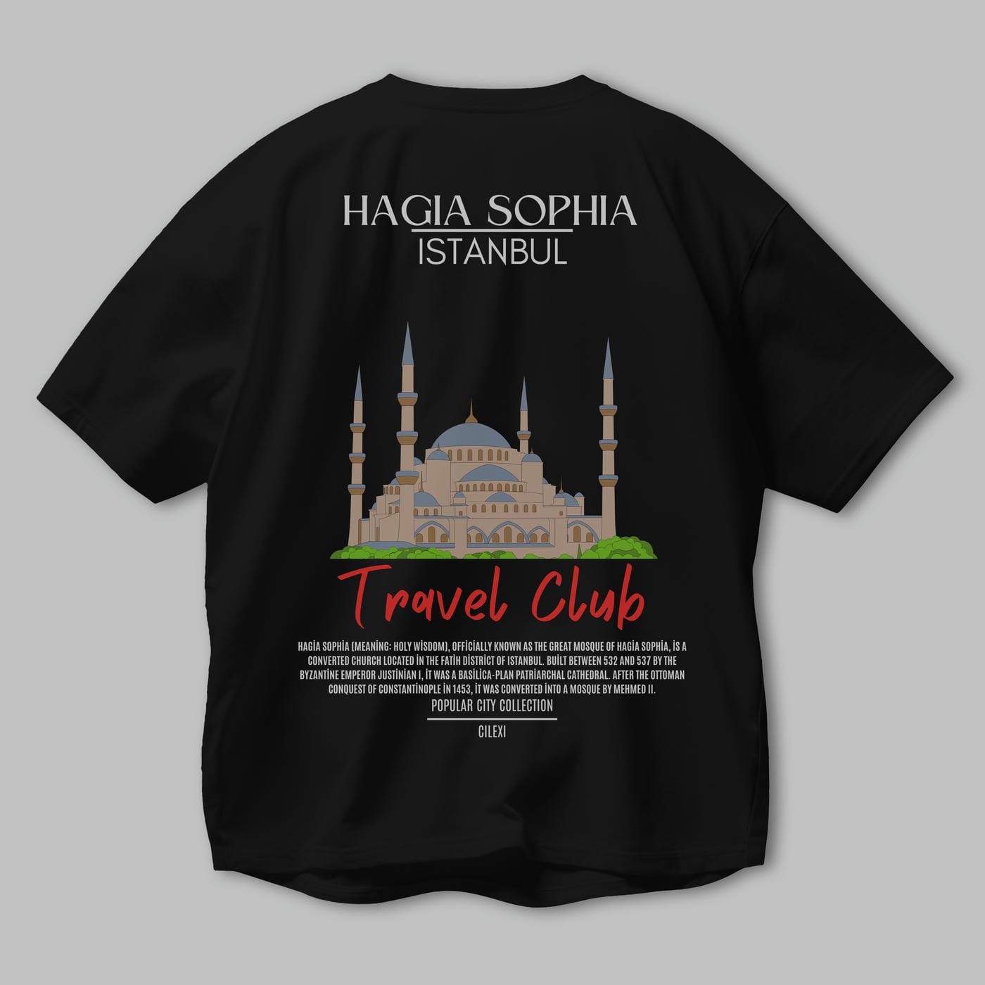 Hagia Sophia İstanbul Arka Baskılı Oversize t-shirt Erkek Kadın Pamuk Bisiklet Yaka tişort