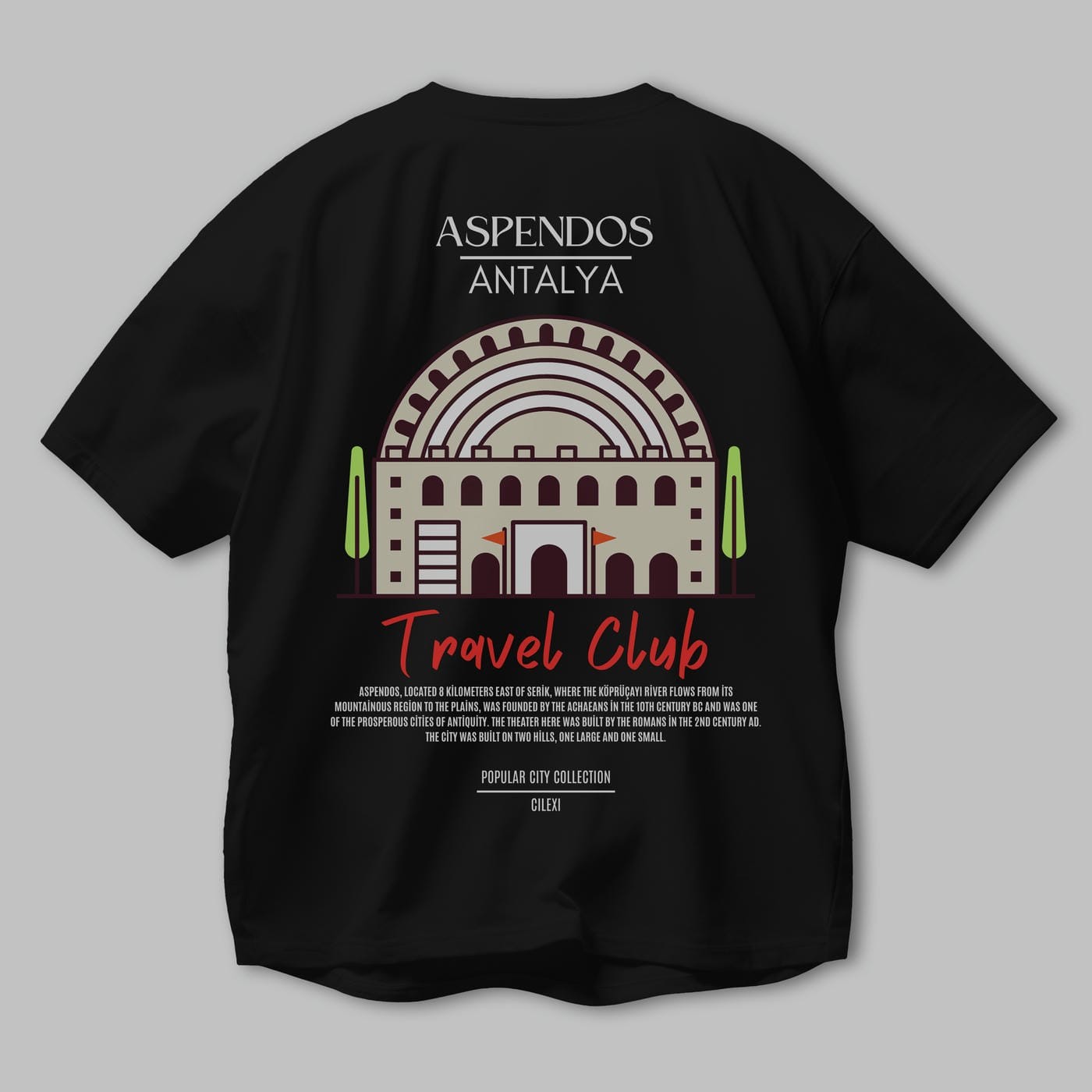 Aspendos Antalya Arka Baskılı Oversize t-shirt Erkek Kadın Pamuk Bisiklet Yaka tişort