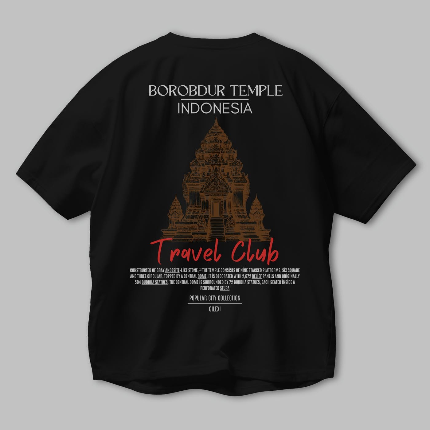 Borobdur Temple İndonesia Arka Baskılı Oversize t-shirt Erkek Kadın Pamuk Bisiklet Yaka tişort