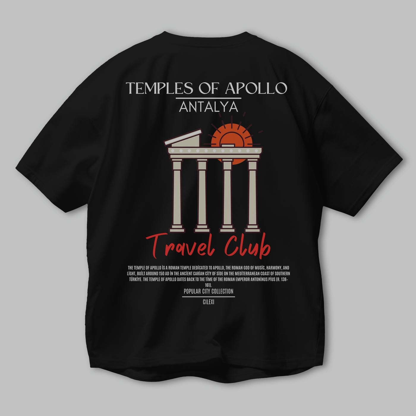 Temples Of Apollo Antalya Arka Baskılı Oversize t-shirt Erkek Kadın Pamuk Bisiklet Yaka tişort