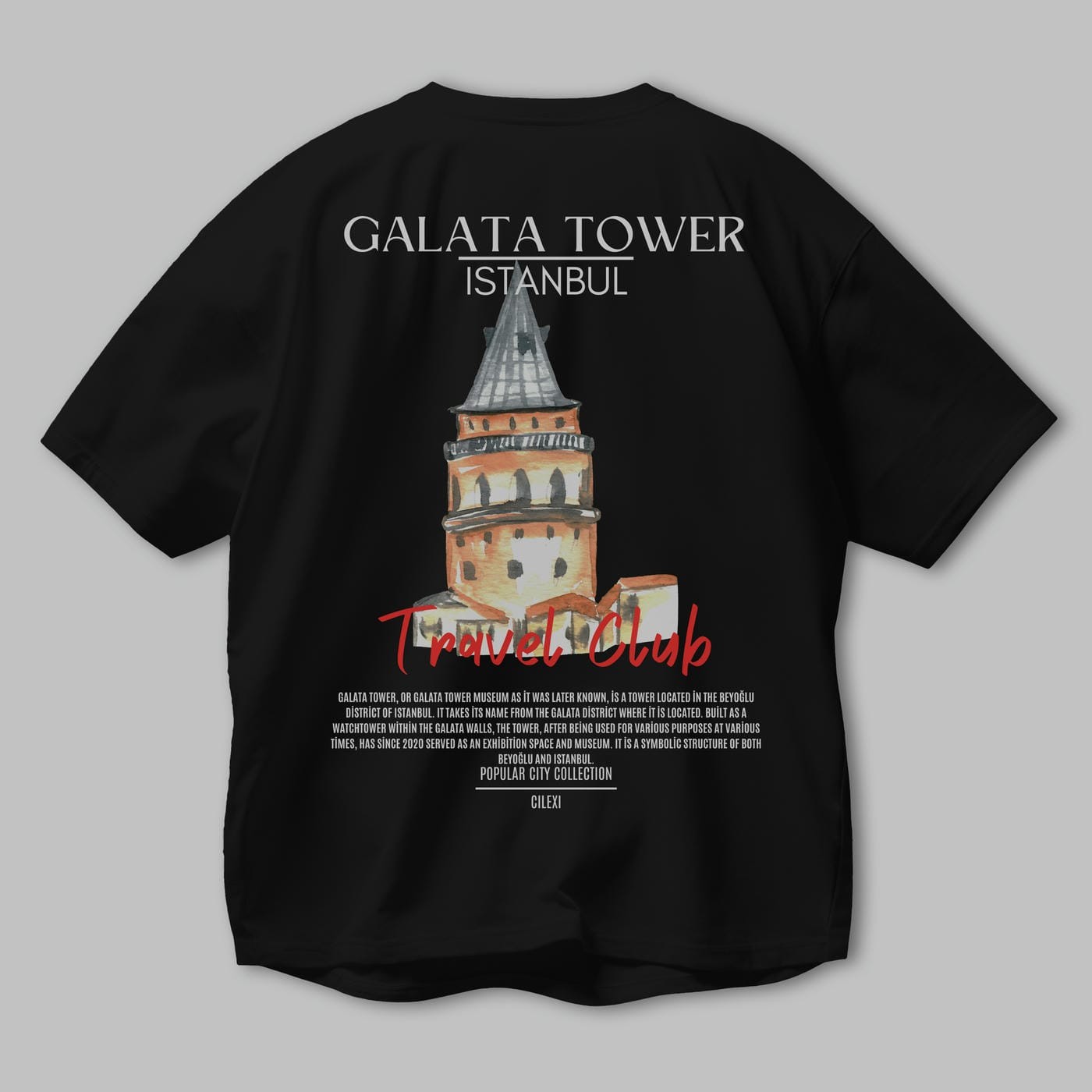 Galata Tower İstanbul Arka Baskılı Oversize t-shirt Erkek Kadın Pamuk Bisiklet Yaka tişort