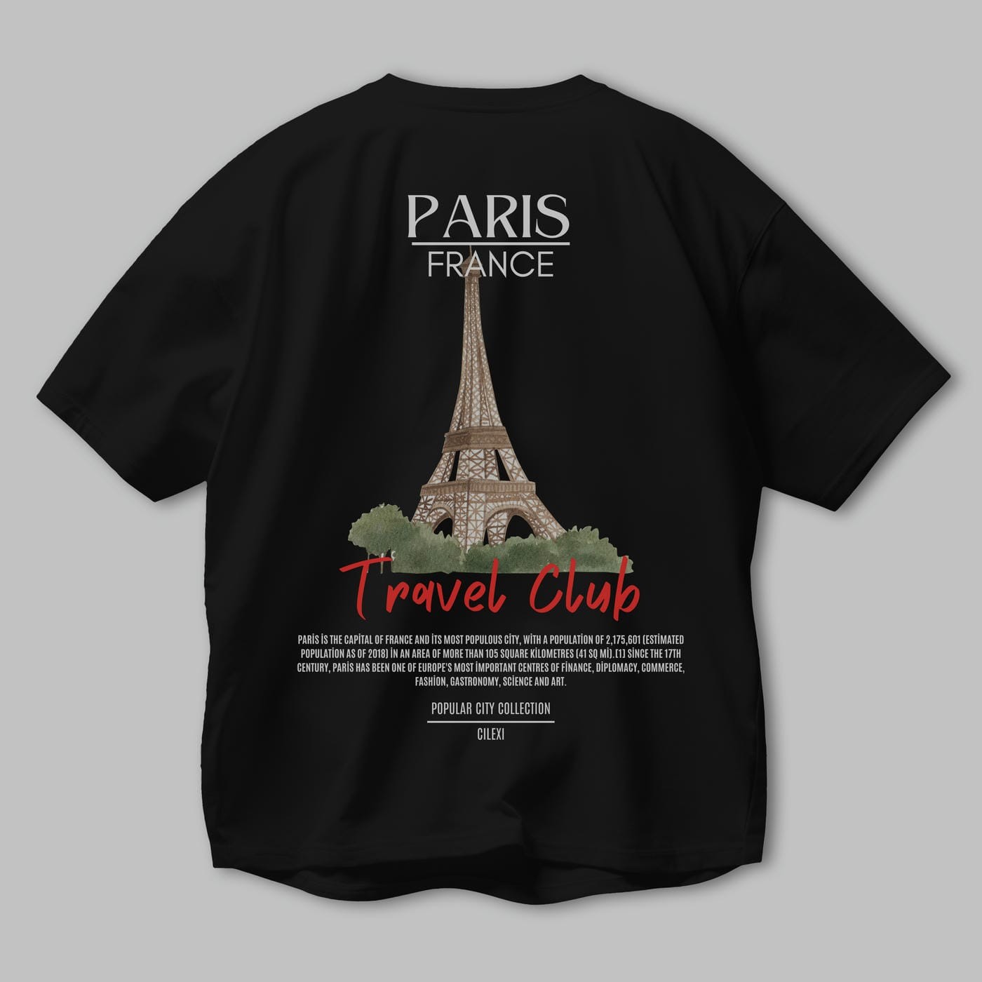 Paris France Arka Baskılı Oversize t-shirt Erkek Kadın Pamuk Bisiklet Yaka tişort