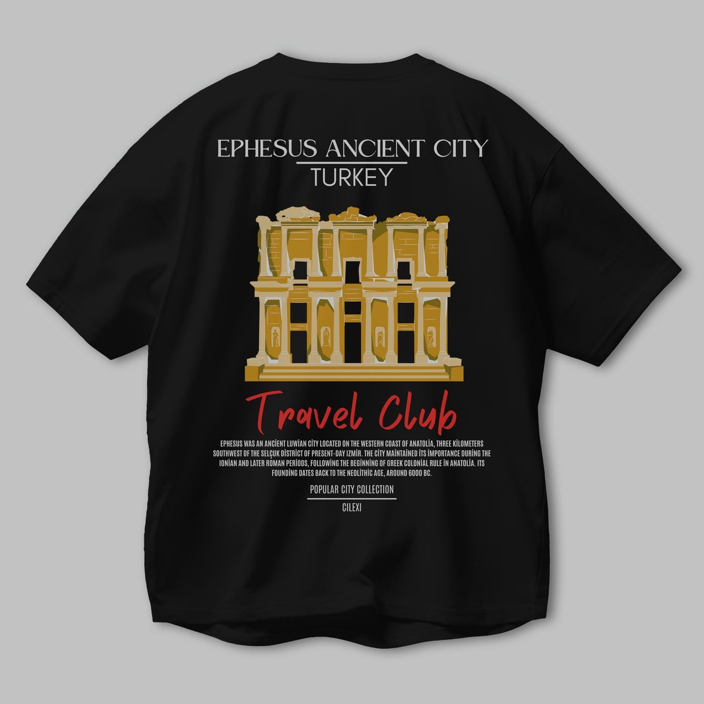 Ephesus Ancient City Turkey Arka Baskılı Oversize t-shirt Erkek Kadın Pamuk Bisiklet Yaka tişort