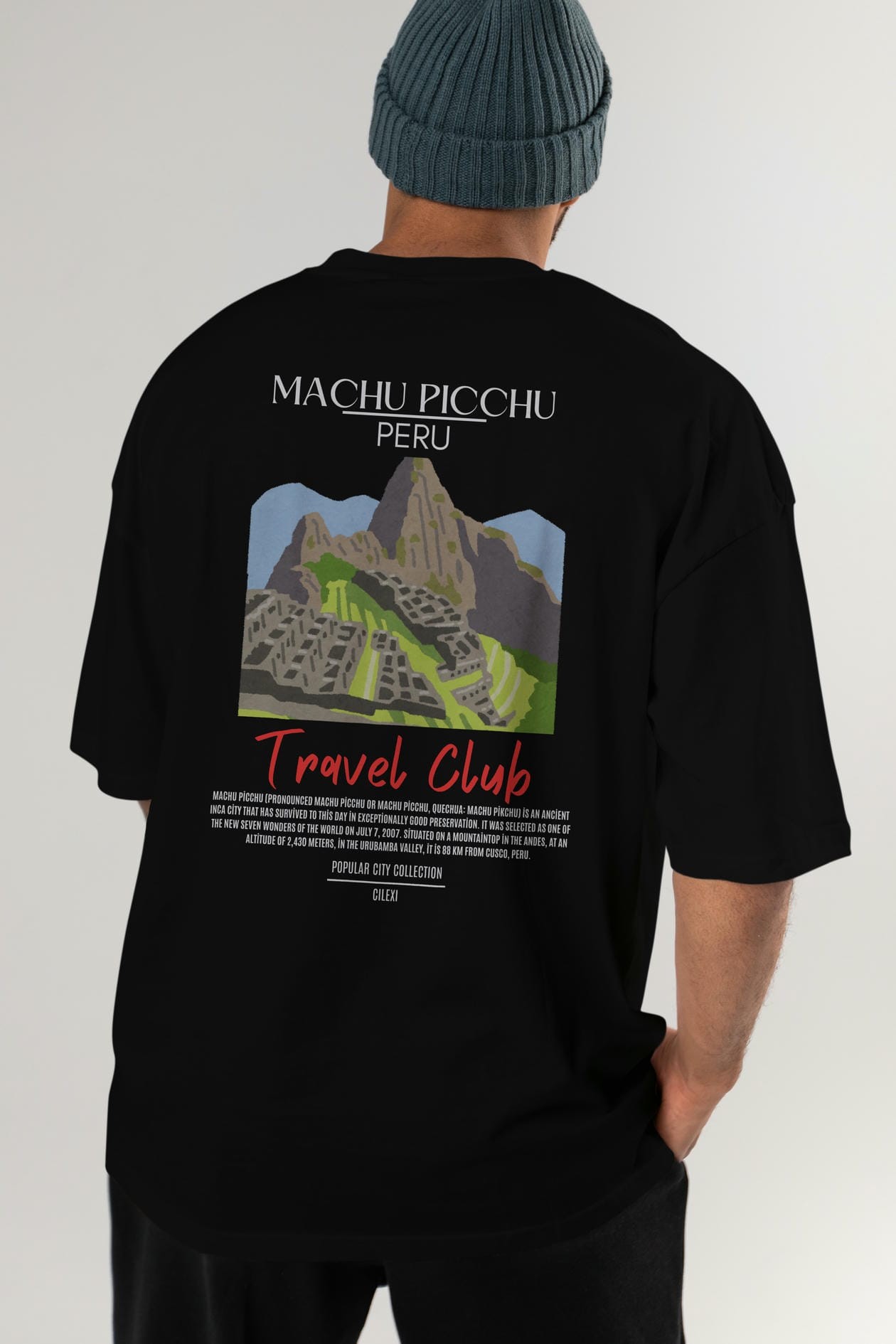 Machu Picchu Peru Arka Baskılı Oversize t-shirt Erkek Kadın Pamuk Bisiklet Yaka tişort