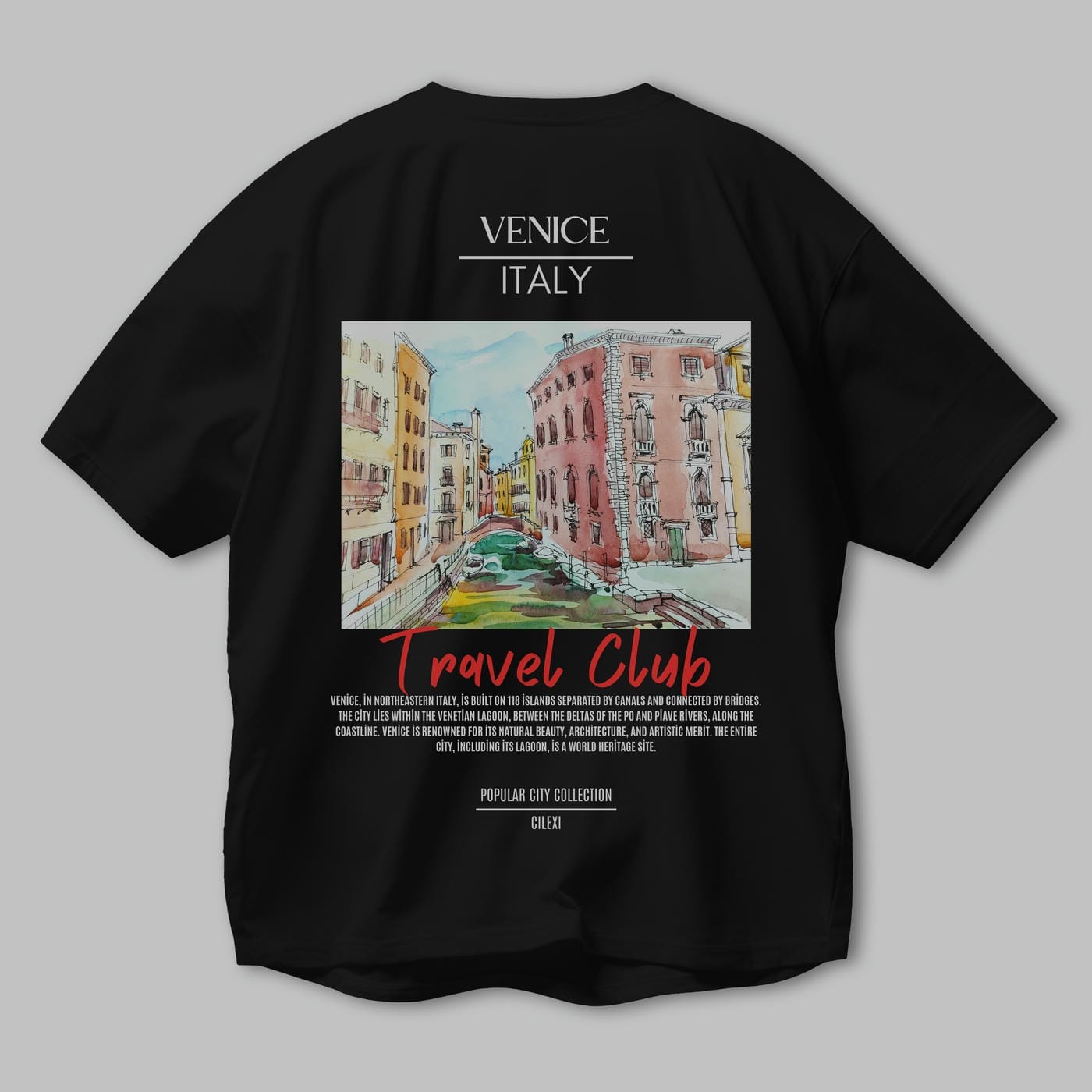 Venice İtaly Arka Baskılı Oversize t-shirt Erkek Kadın Pamuk Bisiklet Yaka tişort