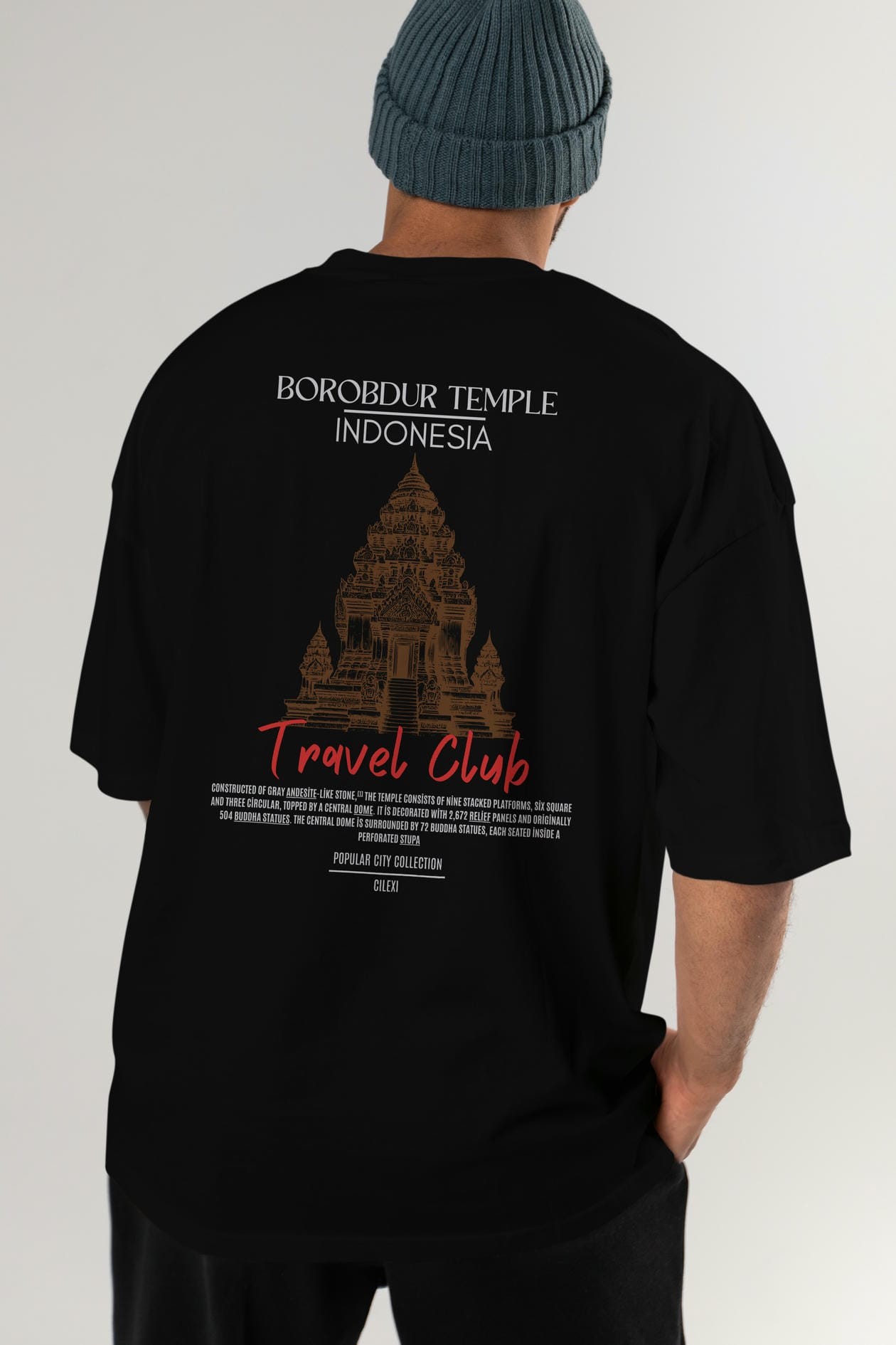 Borobdur Temple İndonesia Arka Baskılı Oversize t-shirt Erkek Kadın Pamuk Bisiklet Yaka tişort