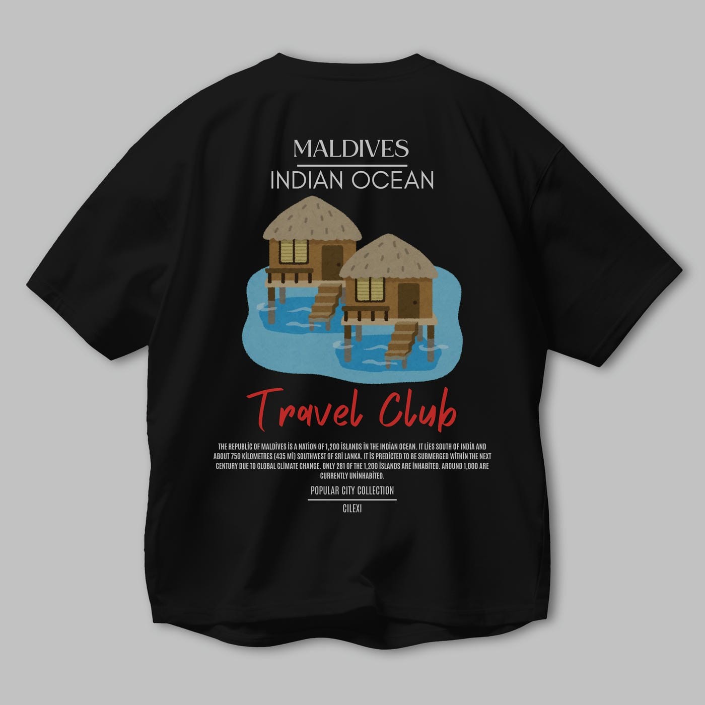 Maldives İndian Ocean Arka Baskılı Oversize t-shirt Erkek Kadın Pamuk Bisiklet Yaka tişort