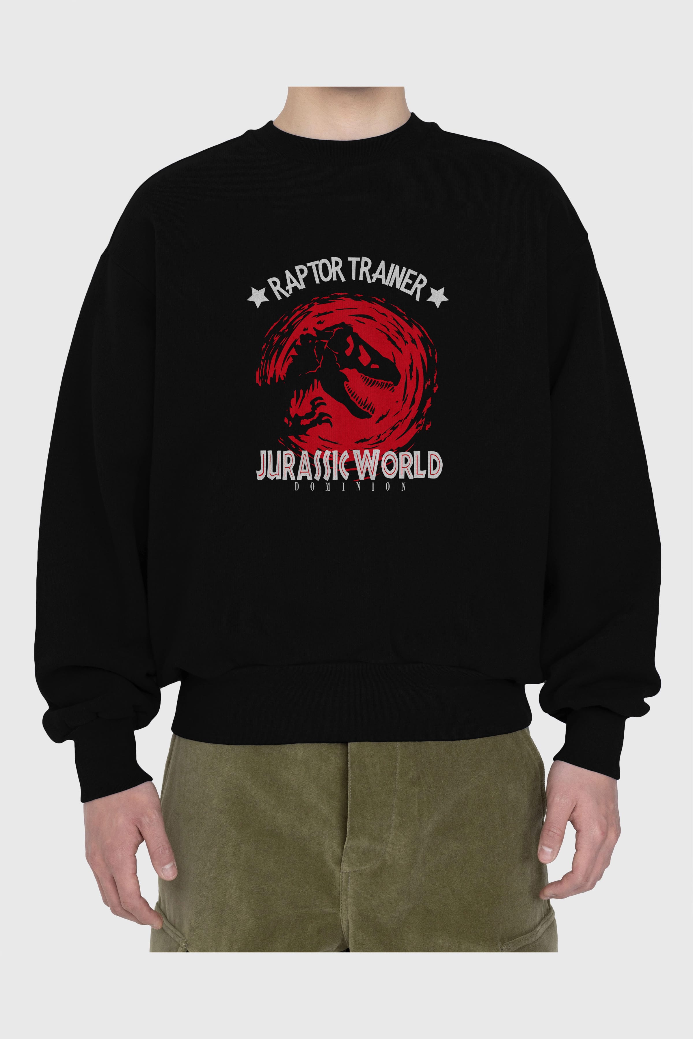 Jurassic Park (3) Ön Baskılı Oversize Sweatshirt Erkek Kadın Unisex