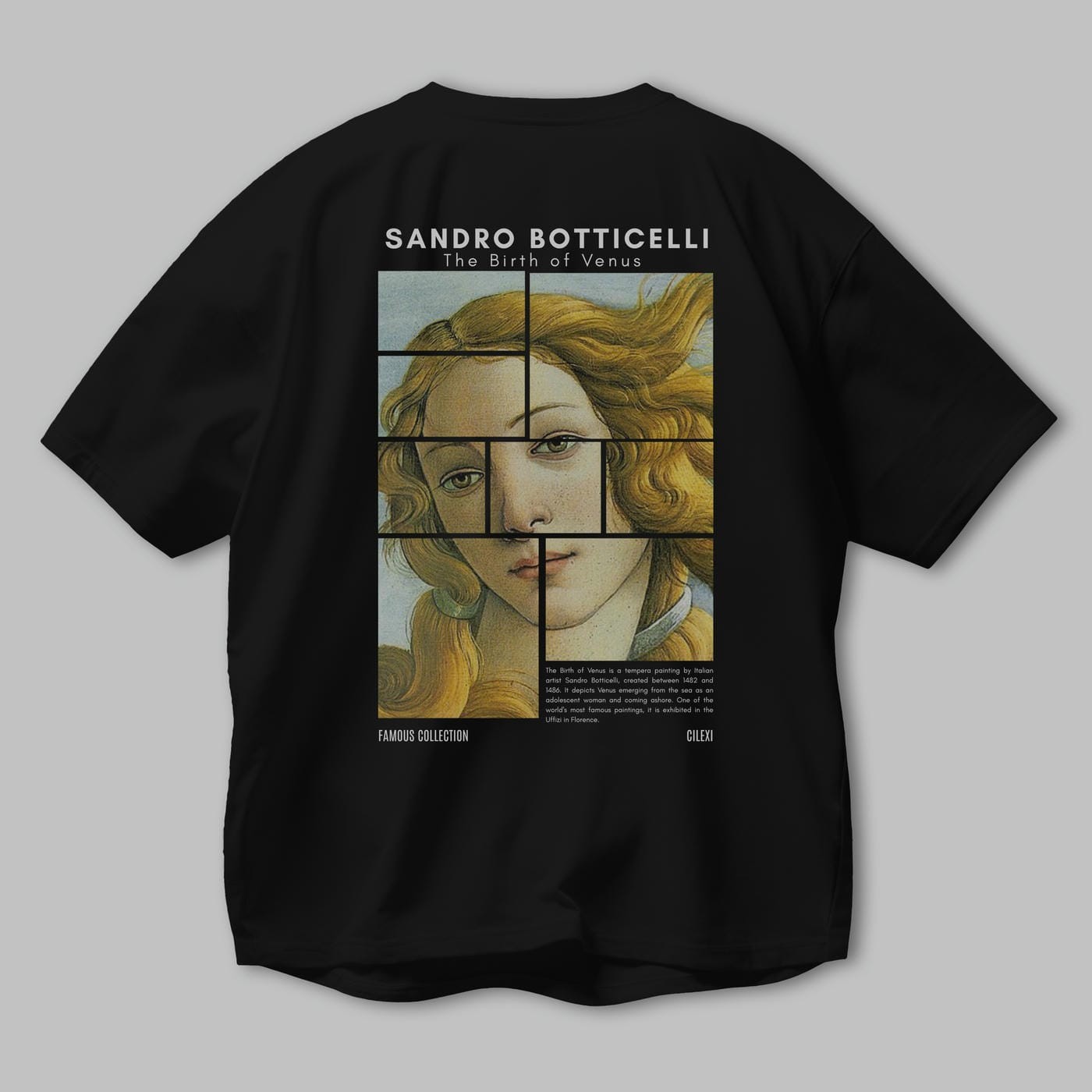 Sandro Botticelli Arka Baskılı Oversize t-shirt Erkek Kadın Bisiklet Yaka Pamuk tişort