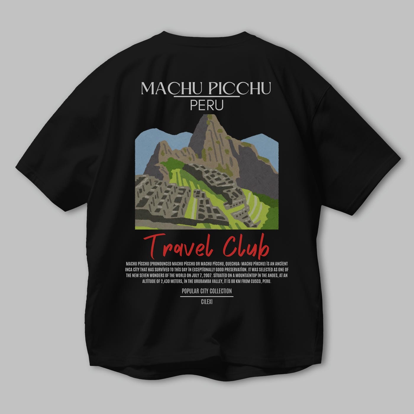 Machu Picchu Peru Arka Baskılı Oversize t-shirt Erkek Kadın Pamuk Bisiklet Yaka tişort