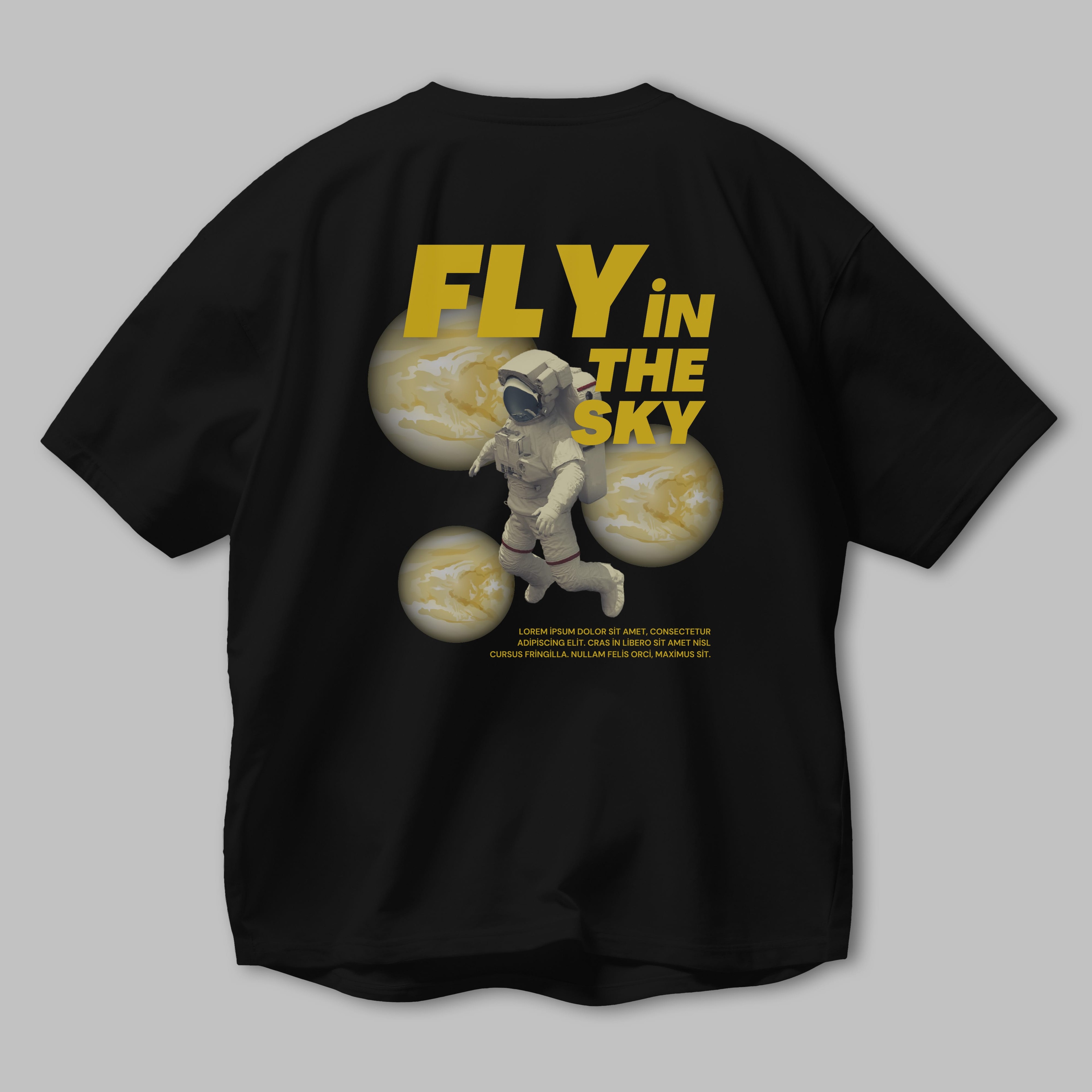 Fly in The Sky Arka Baskılı Oversize t-shirt Erkek Kadın Unisex