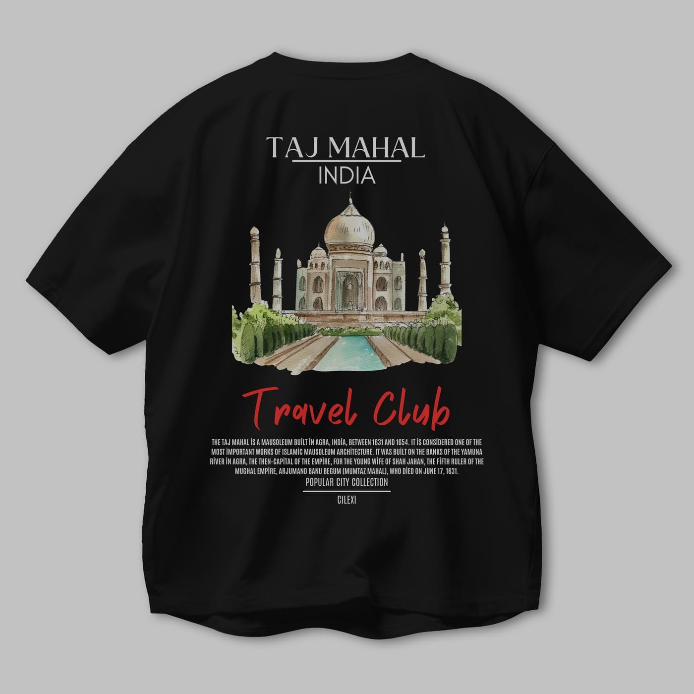 Taj Mahal İndia Arka Baskılı Oversize t-shirt Erkek Kadın Pamuk Bisiklet Yaka tişort