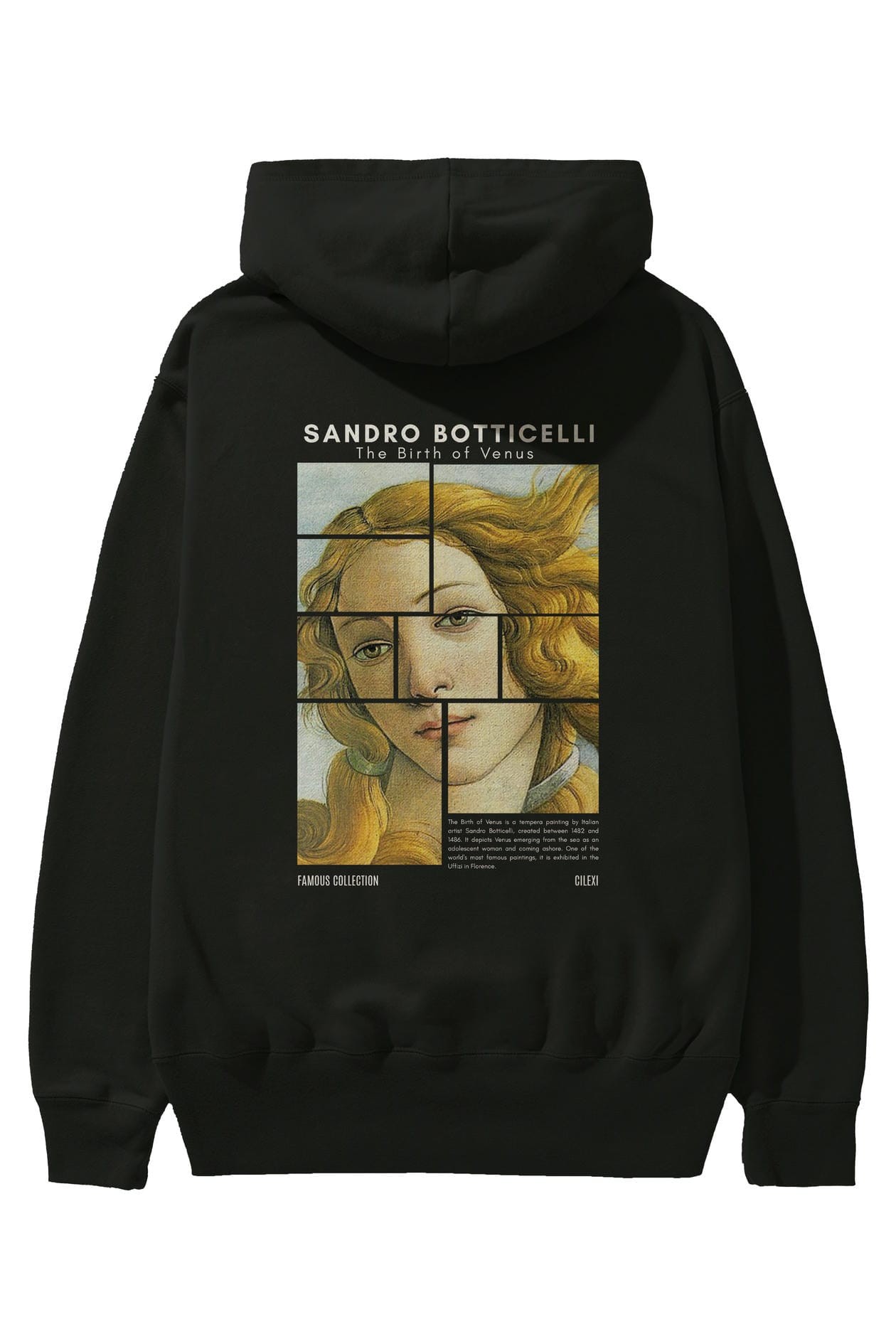 Sandro Botticelli Arka Baskılı Hoodie Oversize Kapüşonlu Sweatshirt Erkek Kadın