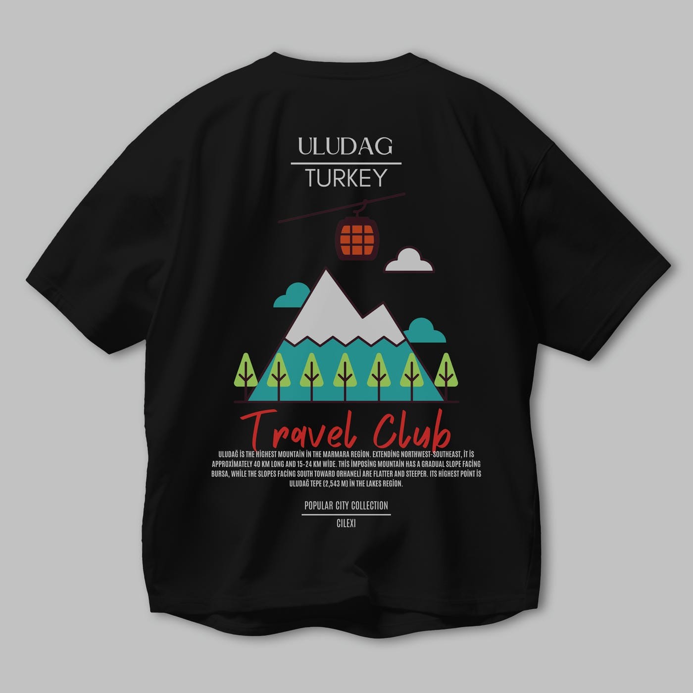 Uludağ Turkey Arka Baskılı Oversize t-shirt Erkek Kadın Pamuk Bisiklet Yaka tişort