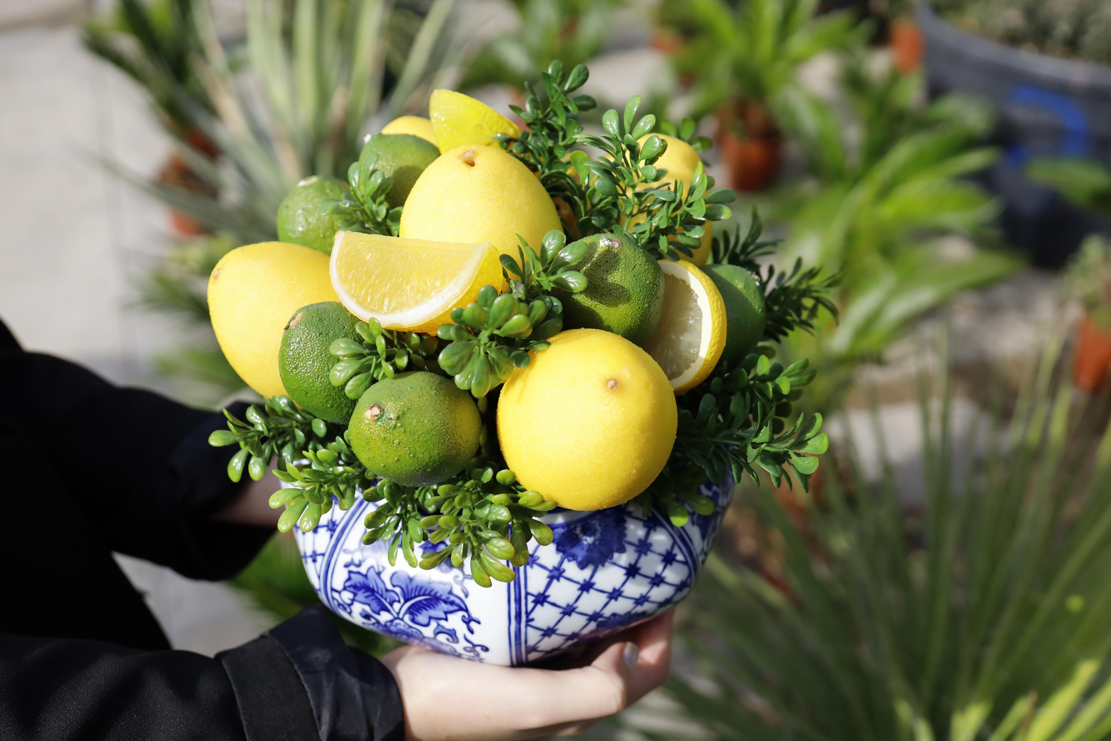 Yapay Limon Arajman - Porselen Vazolu