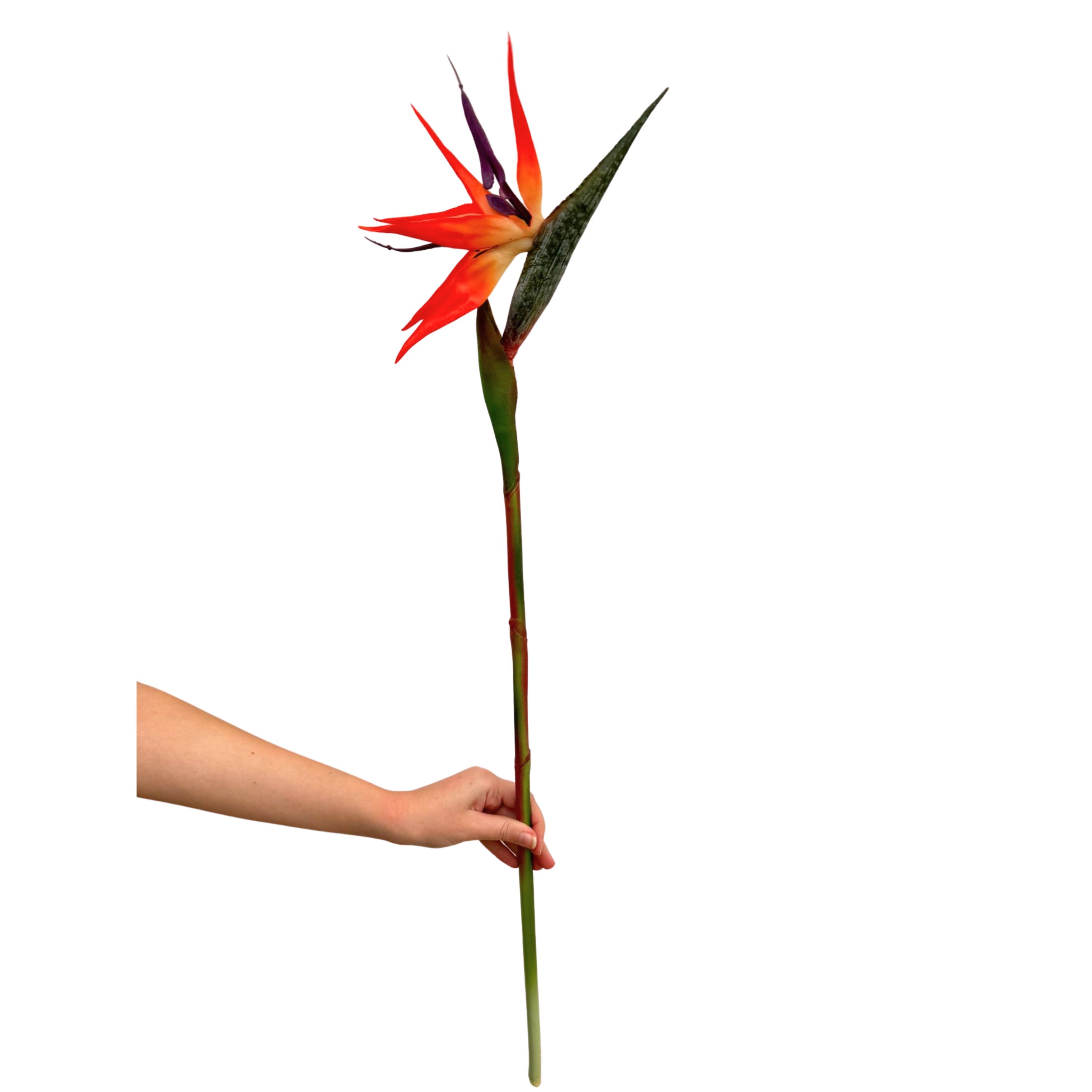 Yapay Cennet Kuşu Çiçeği (Bird Of Paradise)