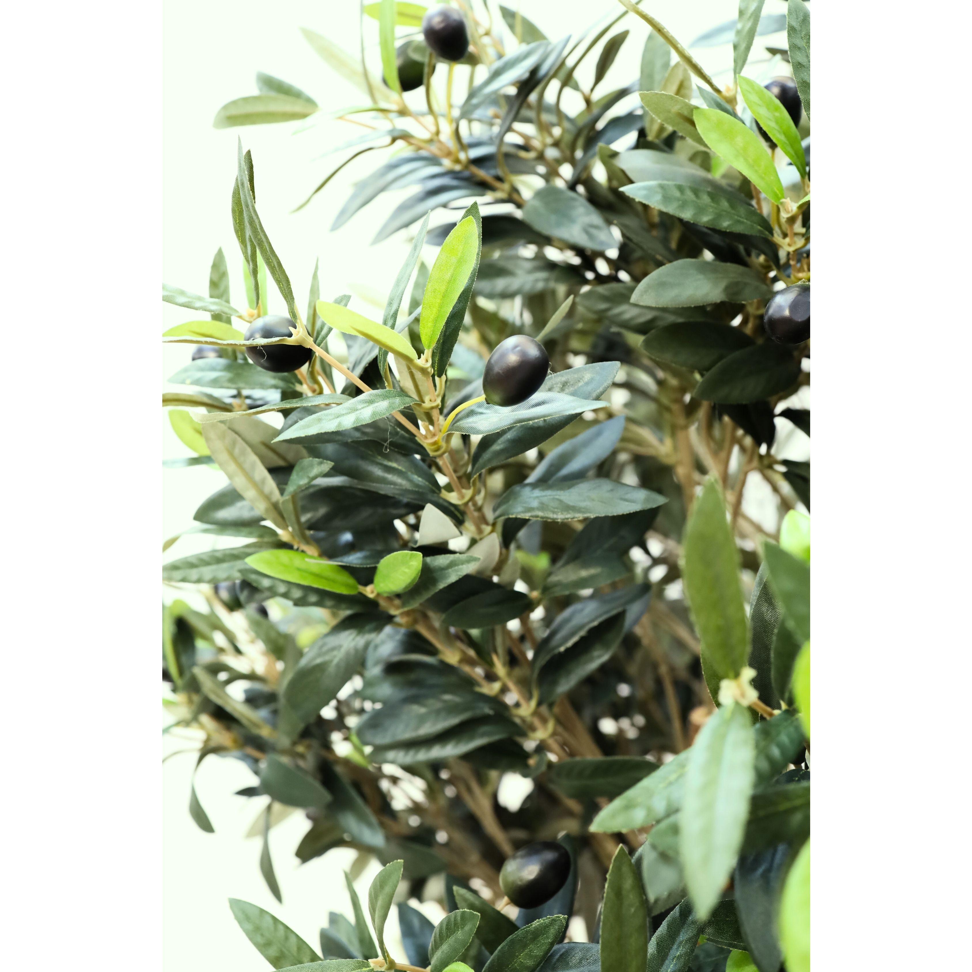 Yapay Zeytin Ağacı-Meyveli (Olive Tree)