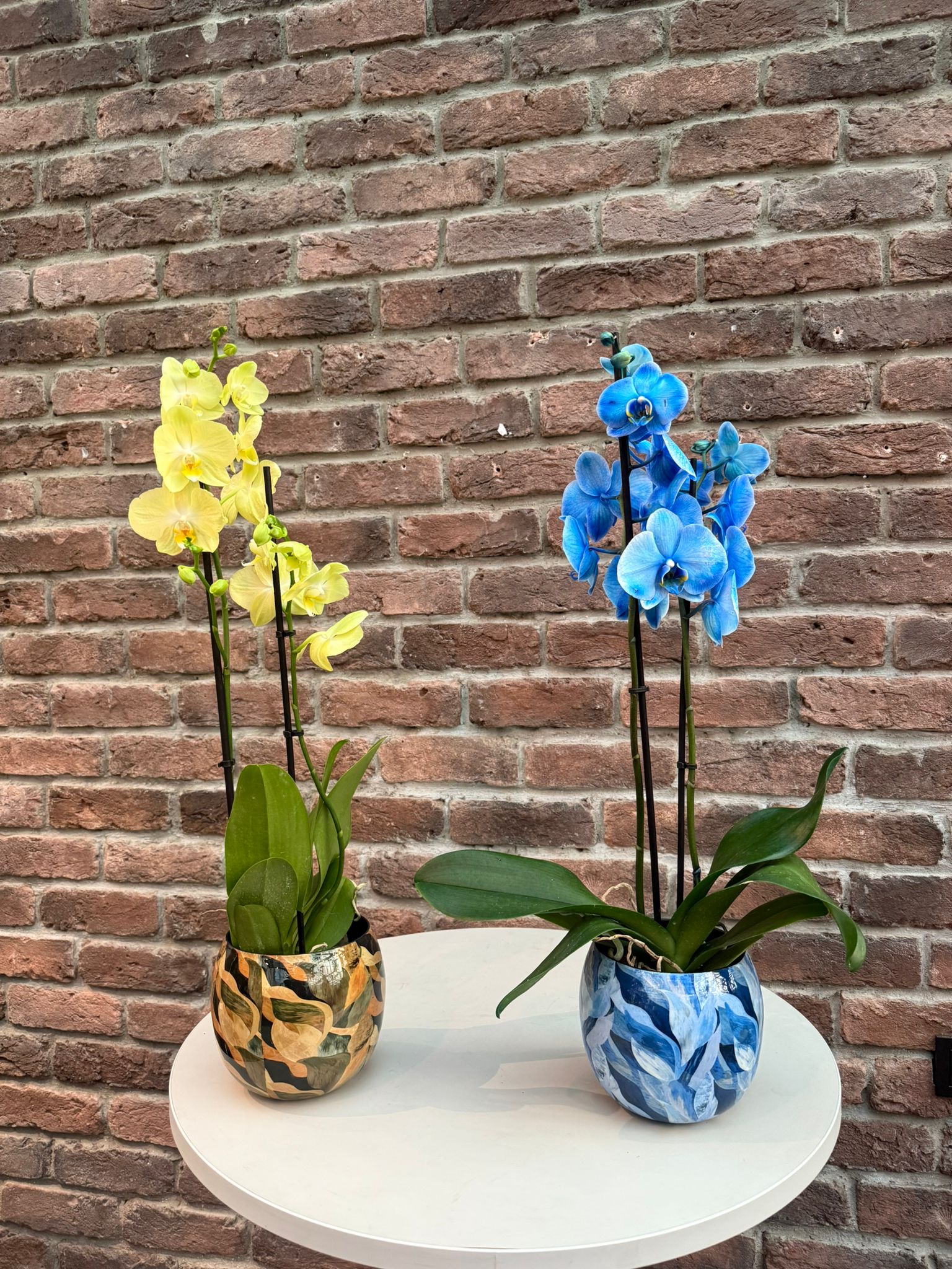 Bombay Yuvarlak Metal Saksı - Kahverengi