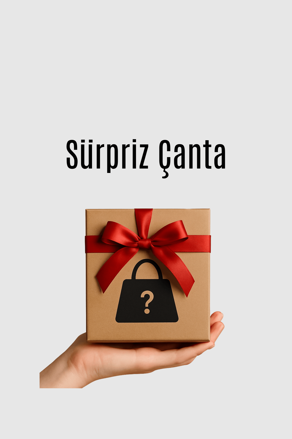 Sürpriz Çanta🎁 - Siyah