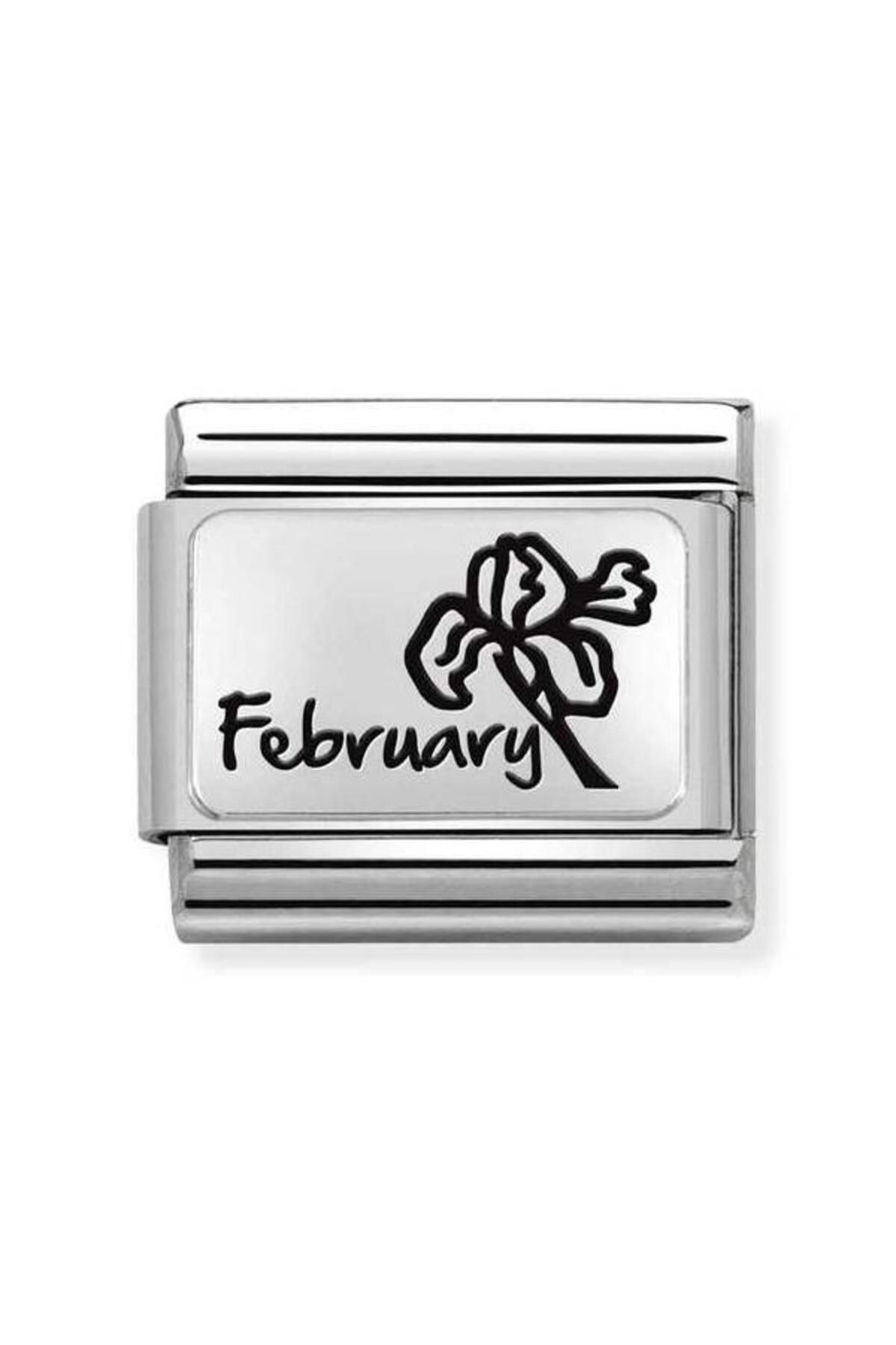 Composable Classic Month Flower Plates (ıc) Steel And 925 Silver (14_february)