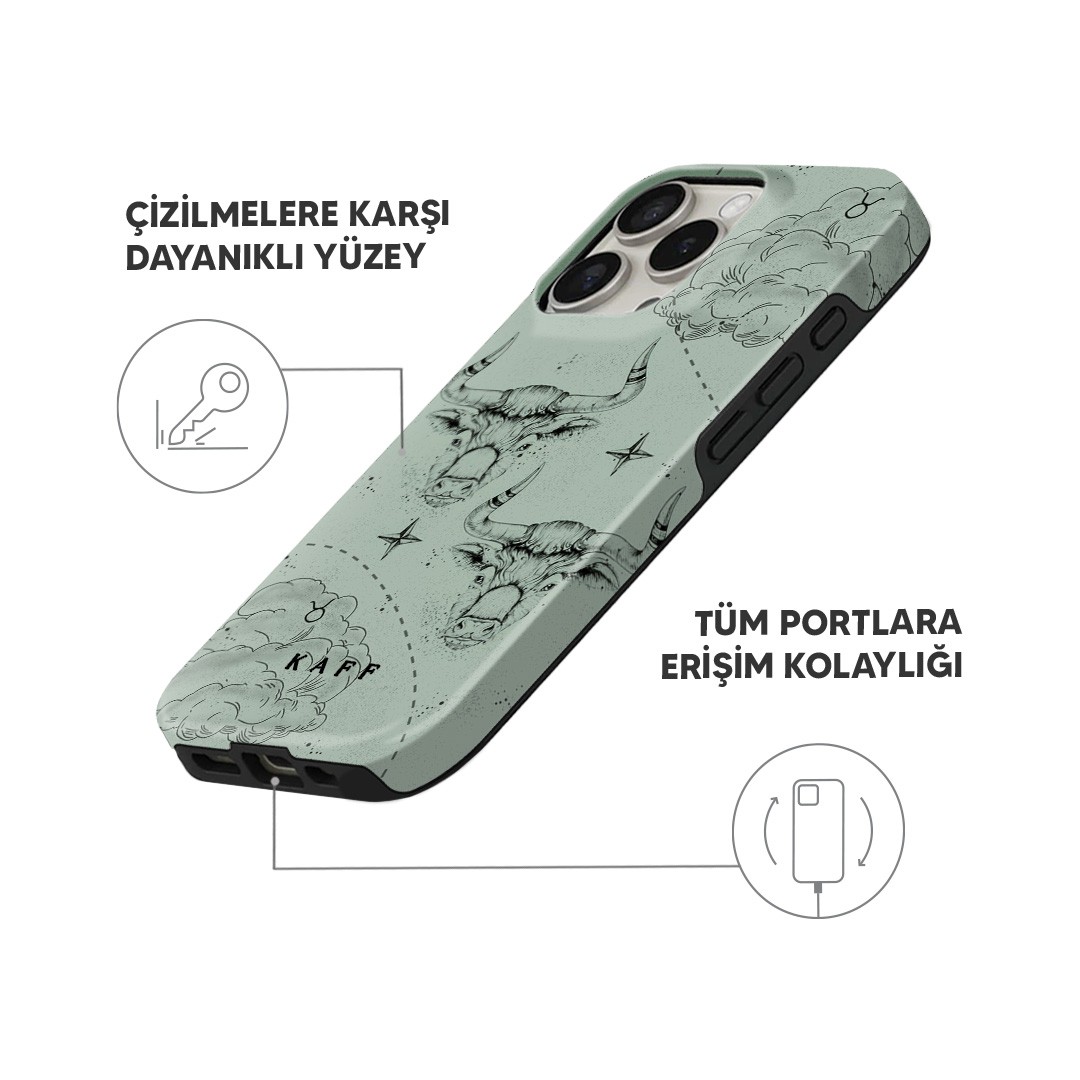 Boğa