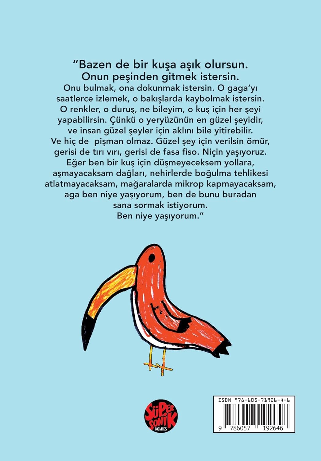 Komik Kuşlar Alpay Erdem