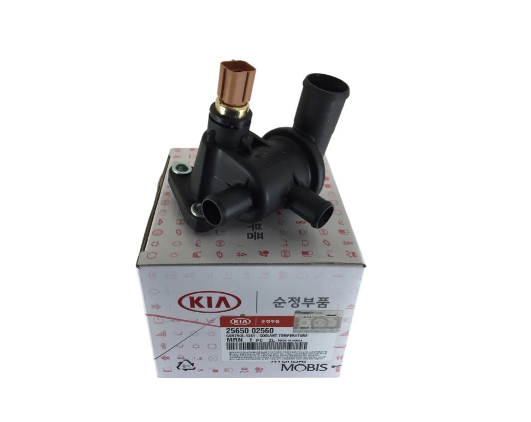 KIA PICANTO TERMOSTAT KAPAĞI B 2004-2011 2565002560 ORİJİNAL