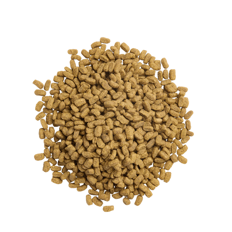 Biyocat Plus Somonlu Kısır Yetişkin Kedi Maması 15 kg