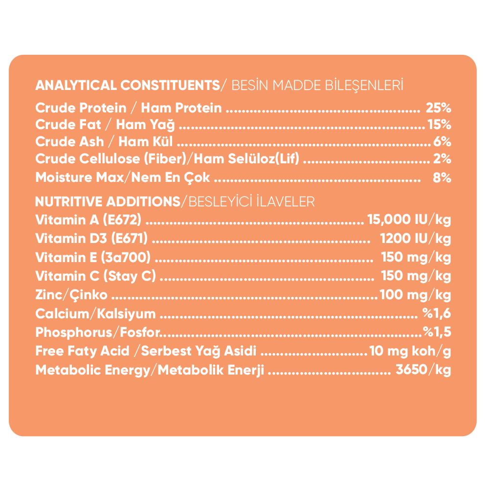 Biyodog Plus Somonlu Yetişkin Köpek Maması 15 kg