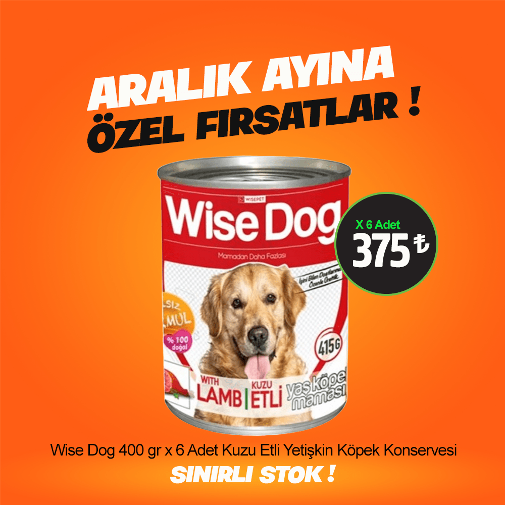 Wise Dog 400 gr X 6 Adet Kuzu Etli Yetişkin Köpek Konservesi 