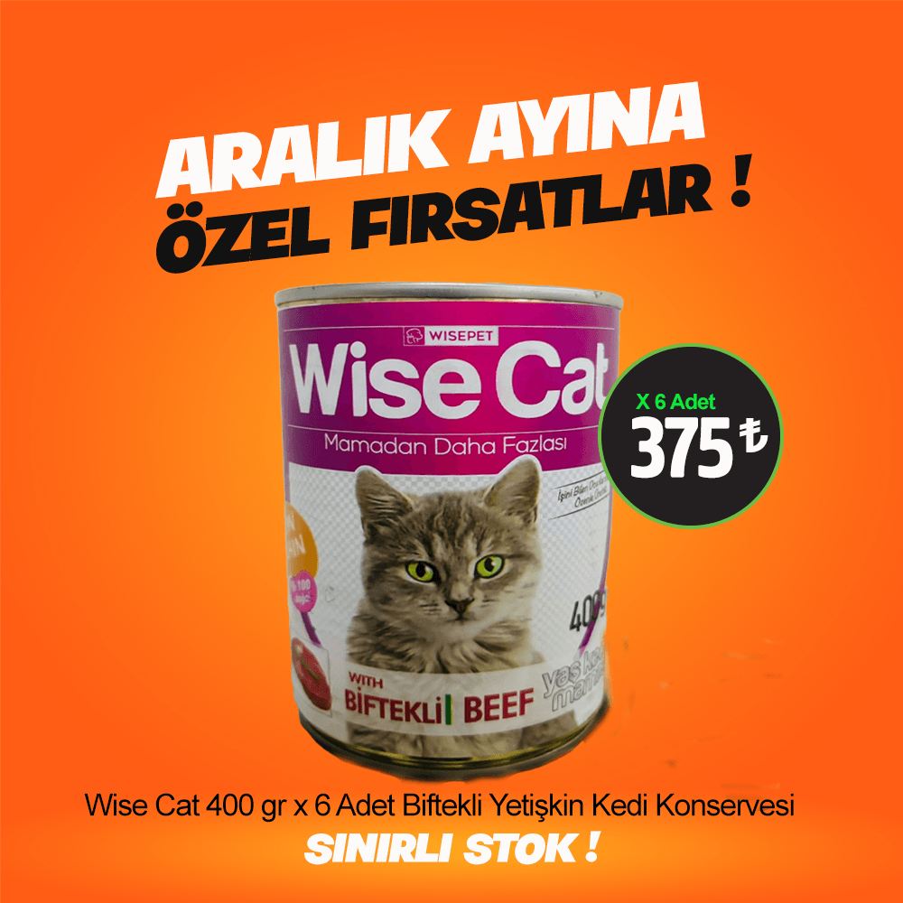 Wise Cat 400 gr X 6 Adet Biftekli Yetişkin Kedi Konservesi