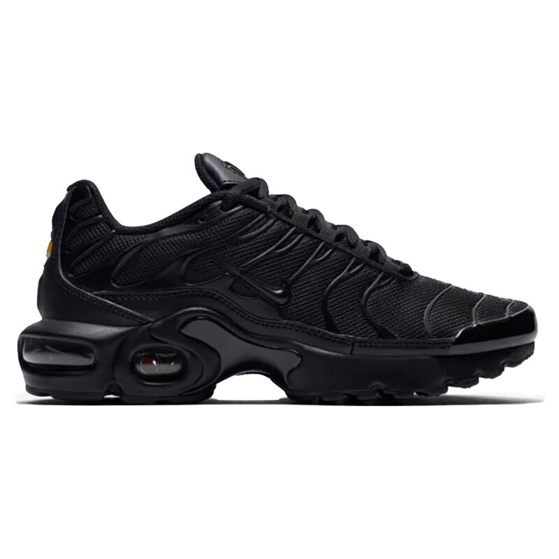 Air Max TN Siyah