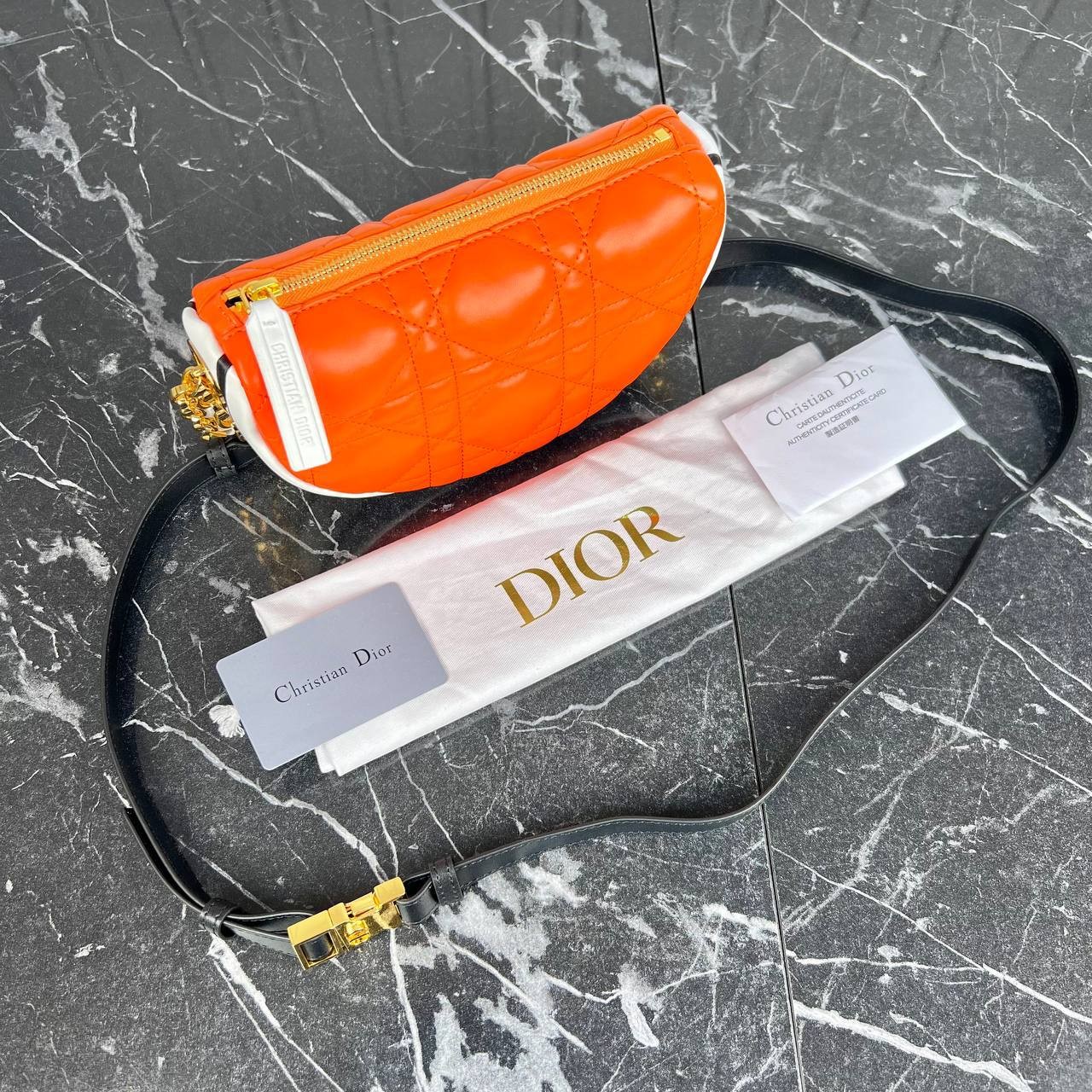 Christian Dior Vibe Hobo Bag Mini