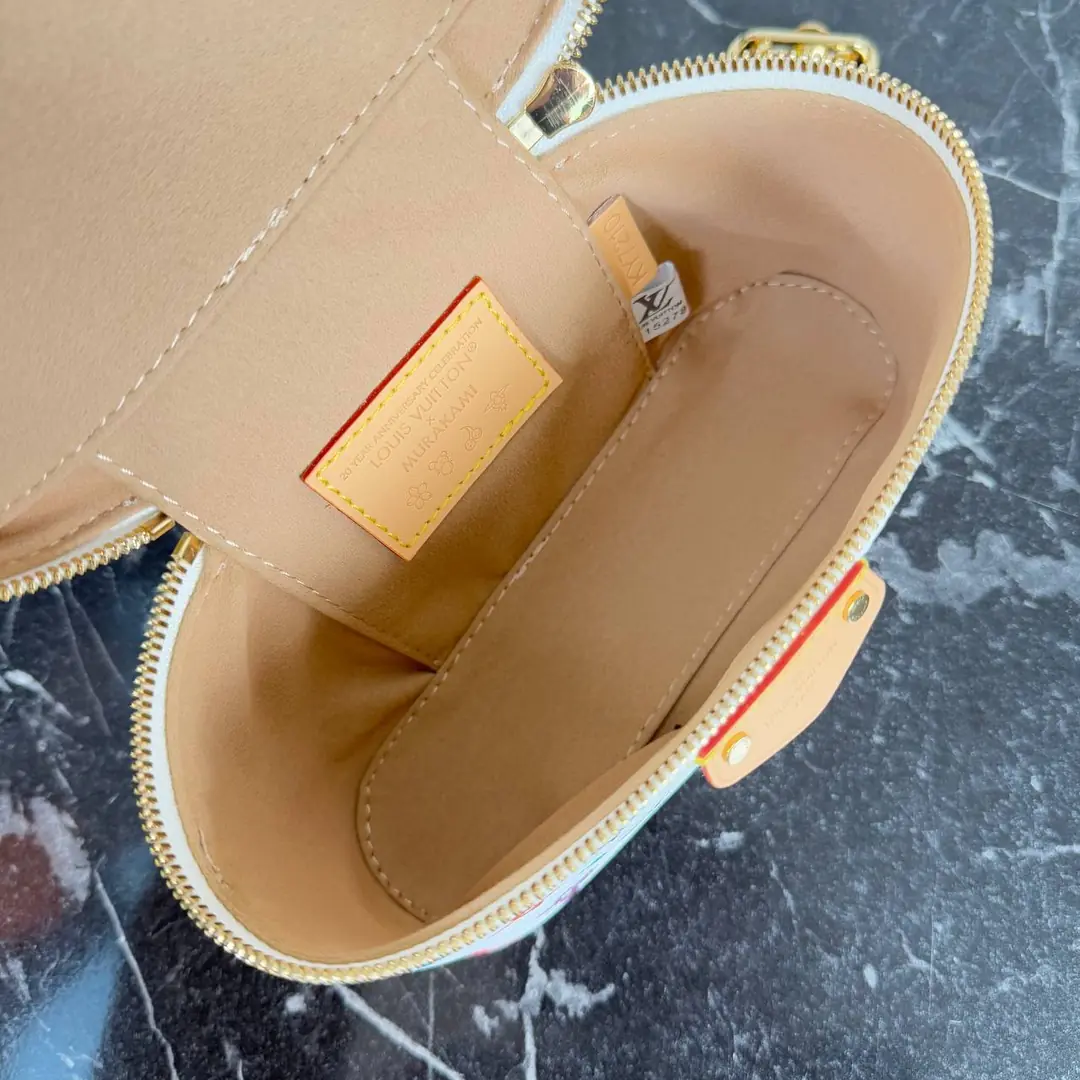 Louis Vuitton Vanity Chain Pouch Bag