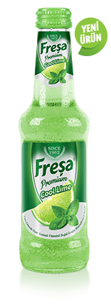 Freşa Premium Lime Limonlu Nane Aromalı Vitaminli Doğal Zengin Mineralli Gazlı İçecek 250ml 6'lı Paket