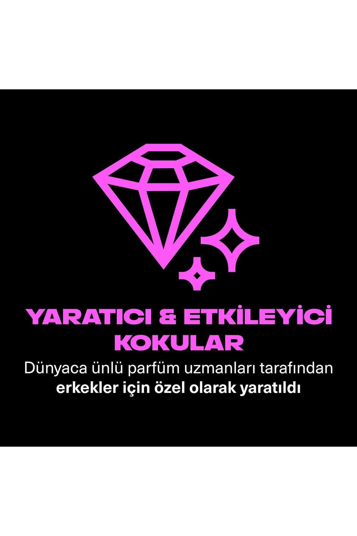 Premium Collection Duş Jeli Blue Lavender 3 In 1 Vücut Saç Yüz 300 ml X3