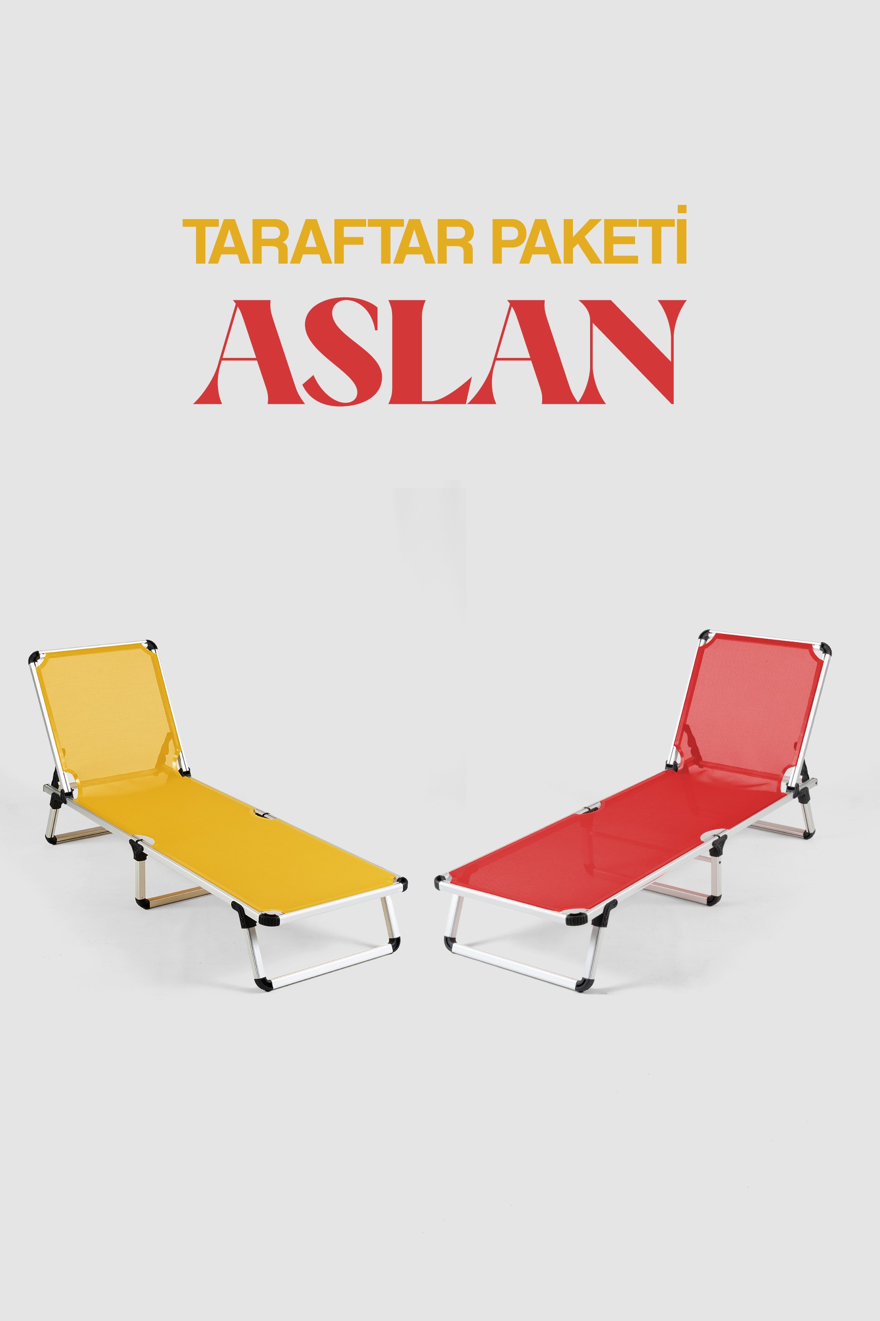 Aslan Taraftar Paketi