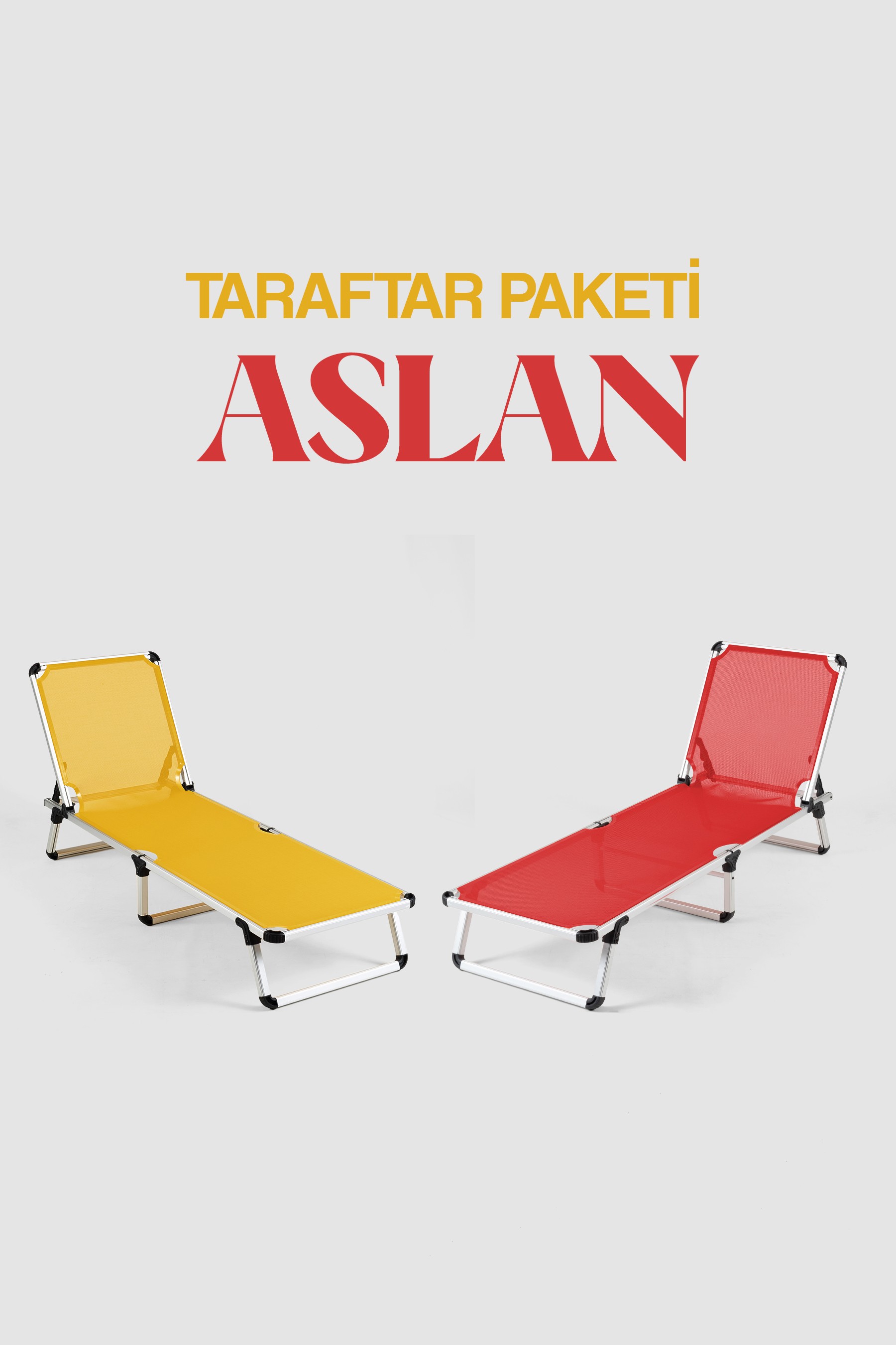 Aslan Taraftar Paketi