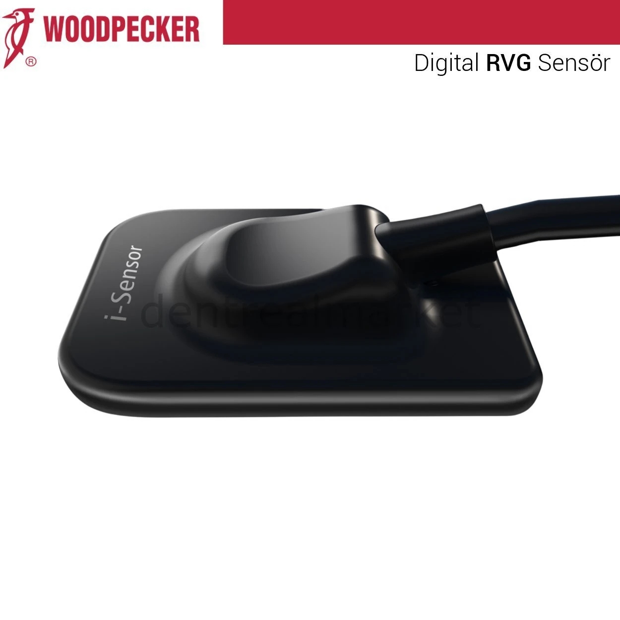 İ-Sensör İntraoral X-Ray Sensörü RVG