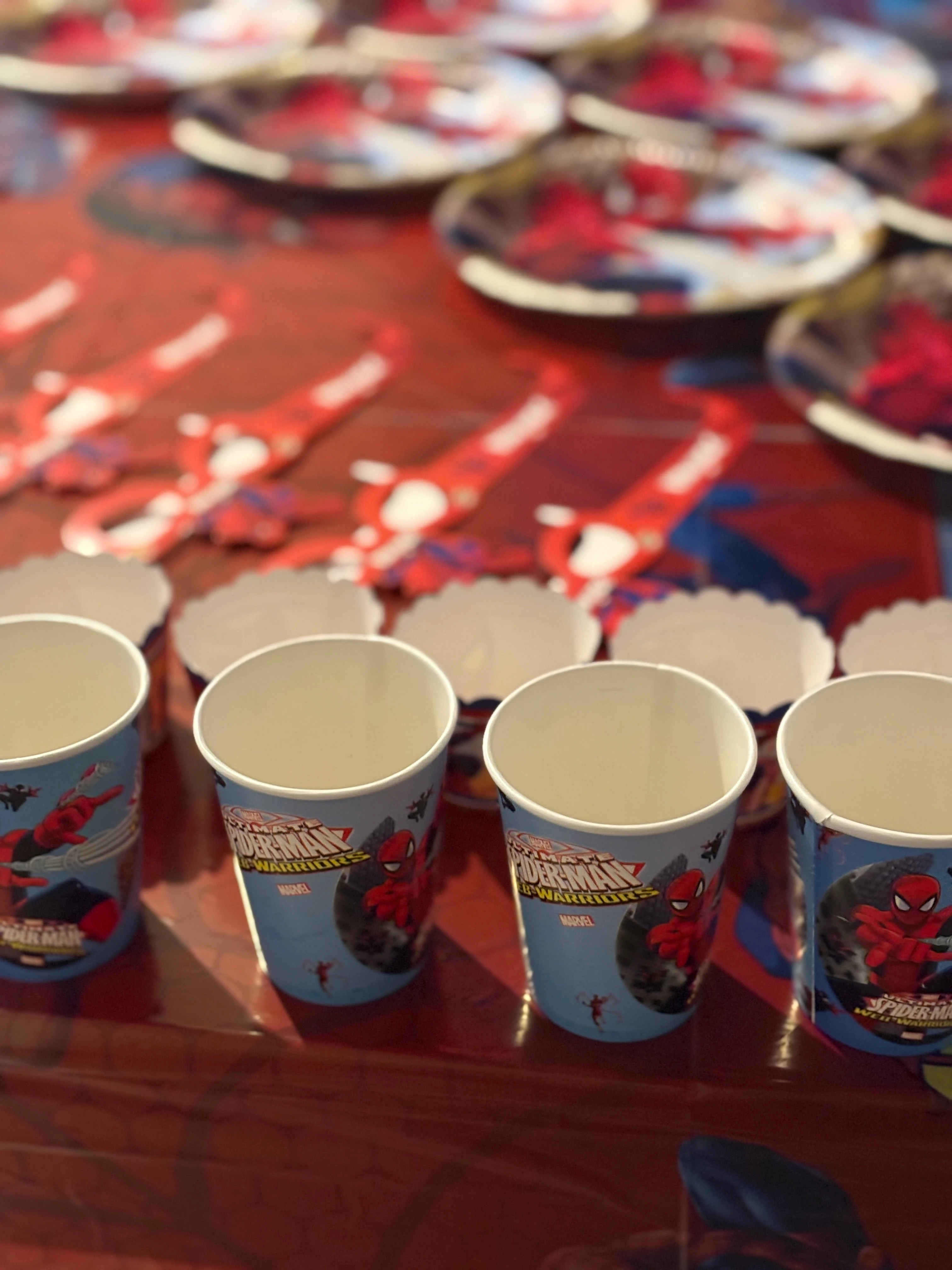 Spiderman Temalı Doğum Günü Parti Seti