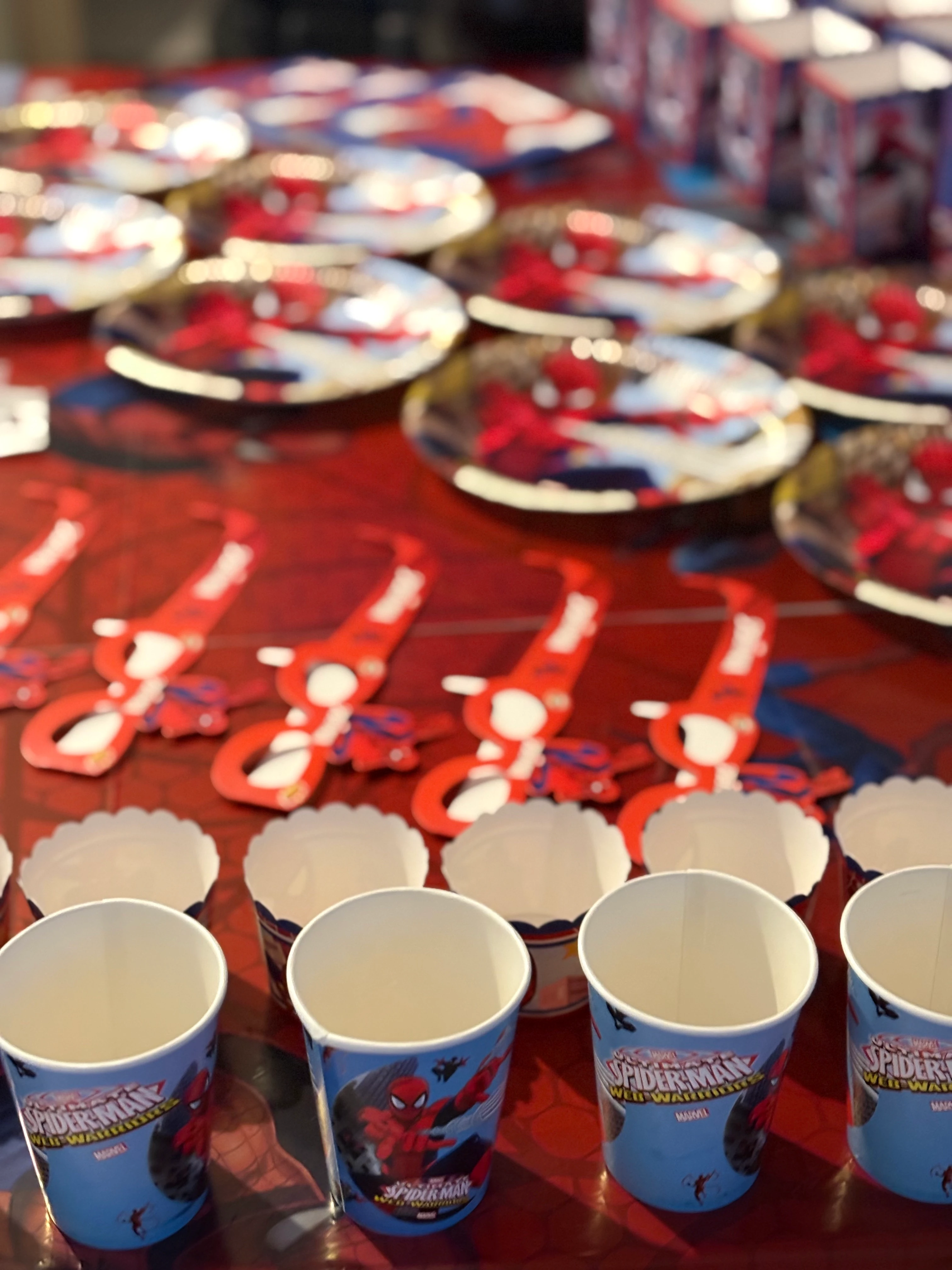 Spiderman Temalı Doğum Günü Parti Seti