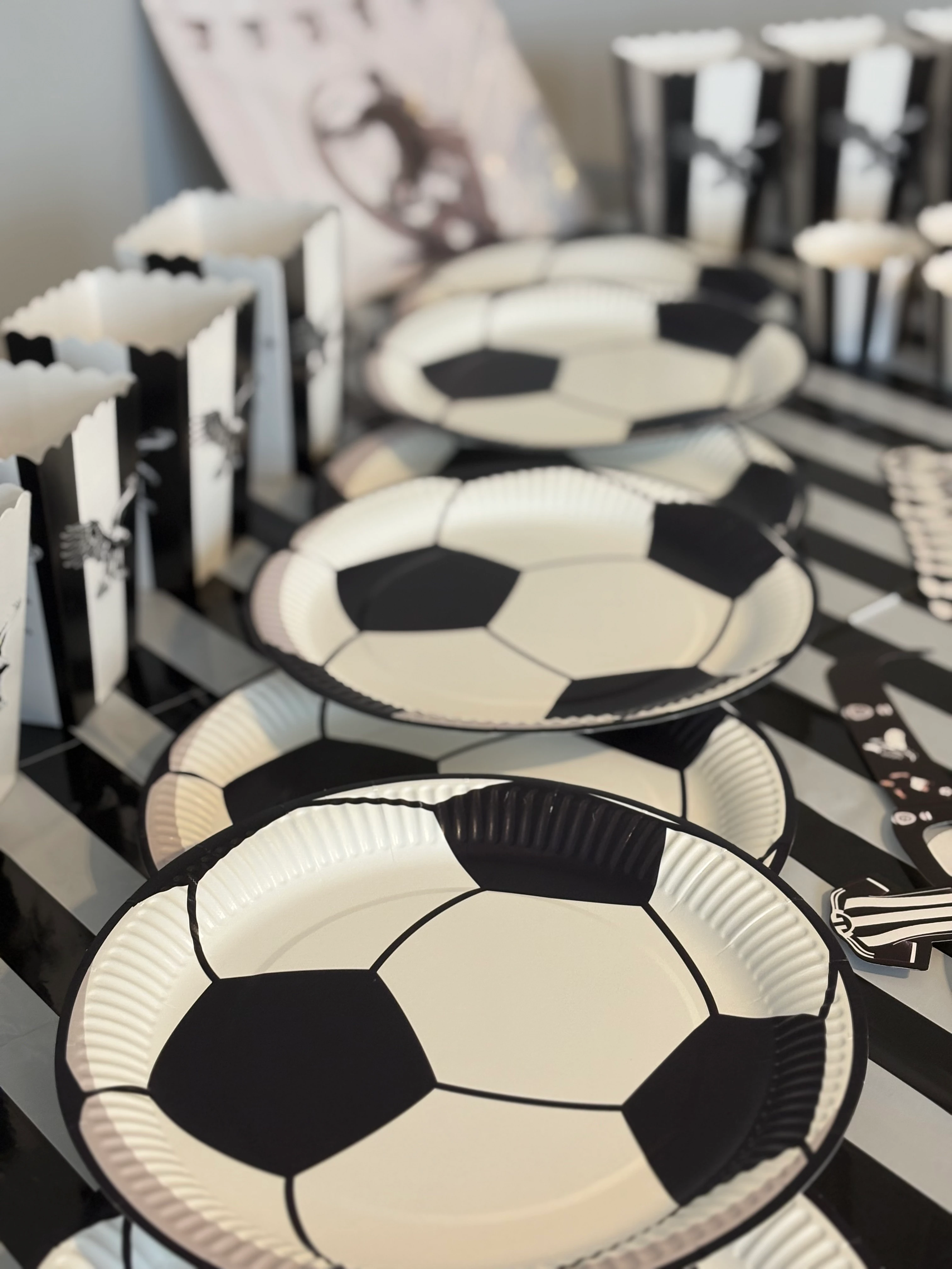 Beşiktaş Temalı Doğum Günü Parti Seti