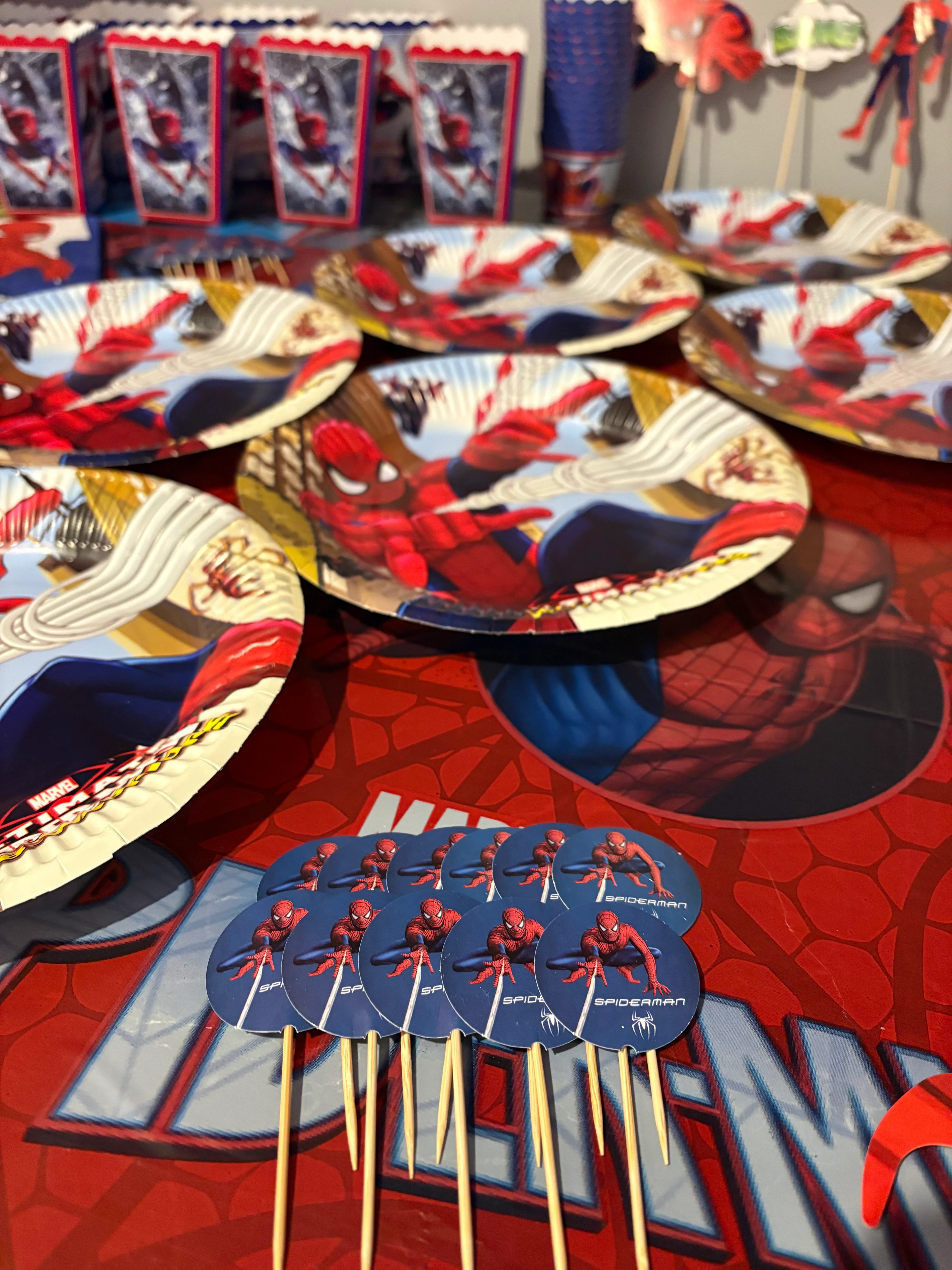 Spiderman Temalı Doğum Günü Parti Seti