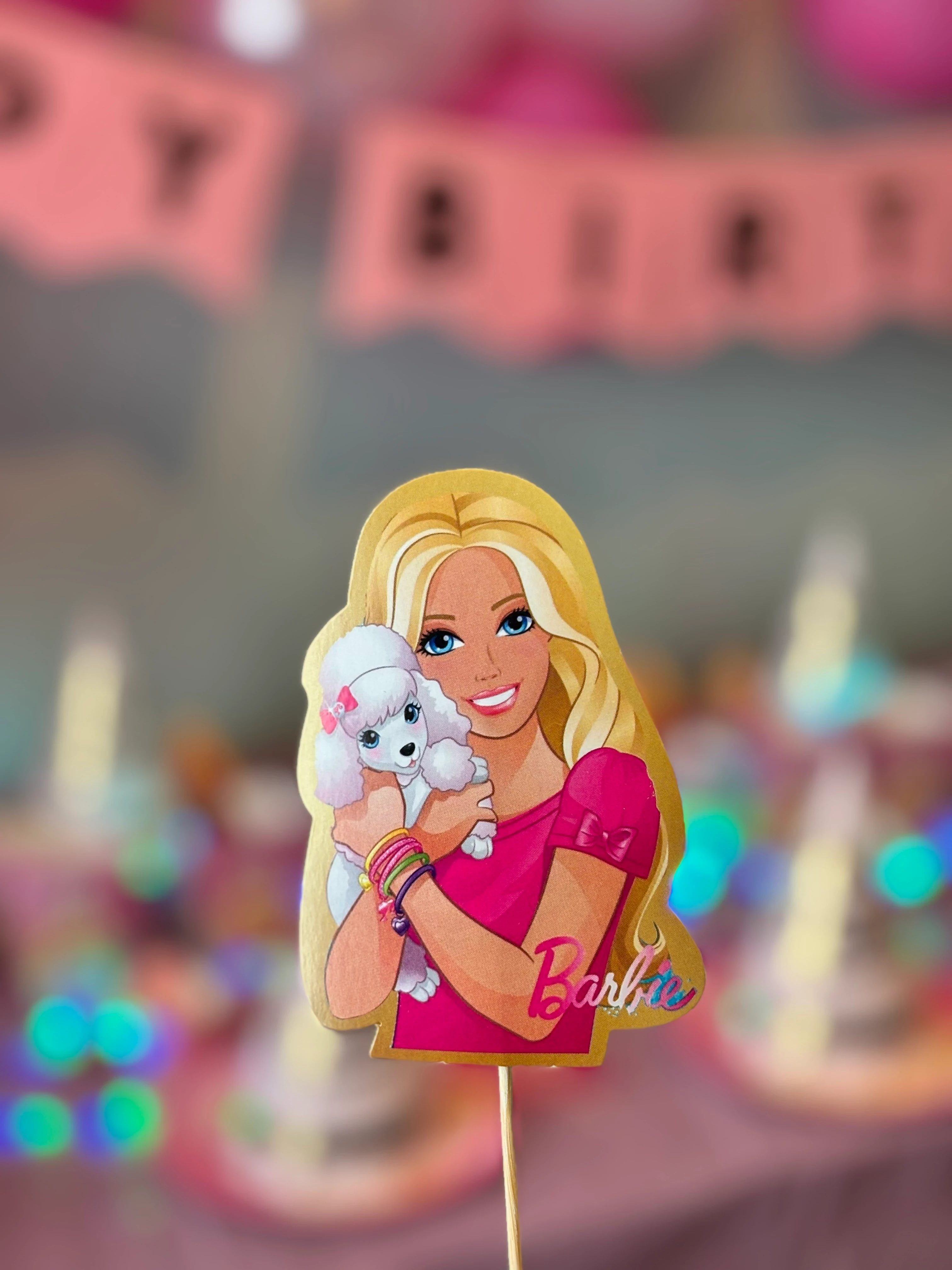 Barbie Temalı Doğum Günü Parti Seti