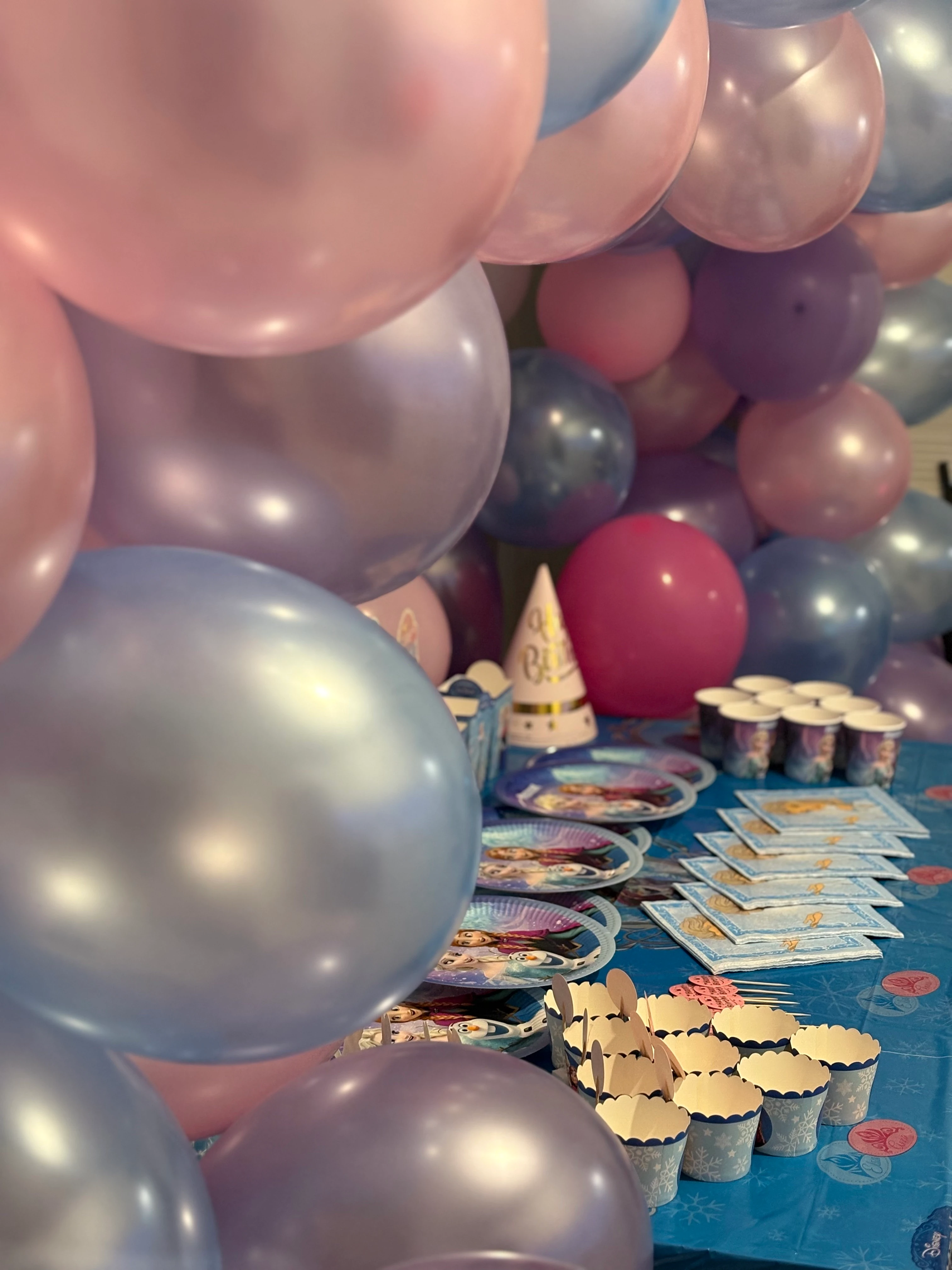 Frozen Temalı Doğum Günü Parti Seti