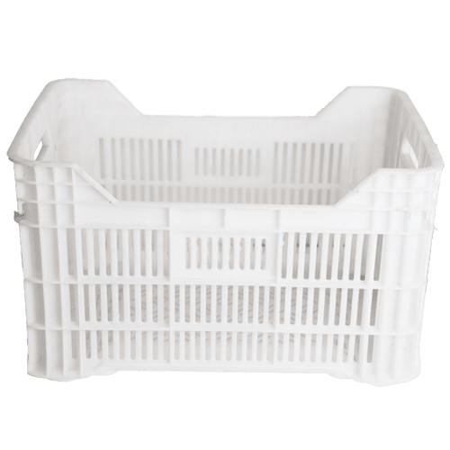 Ey-61 1.K Taşıma Kasası Beyaz 53*36,5*31,5 2000 Gr Adet