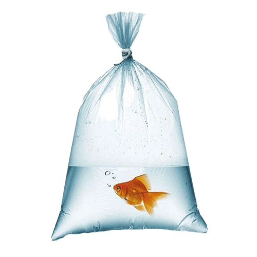 70*120 Naylon Torba (Özg)(12 Mic) Kl 20 Kg