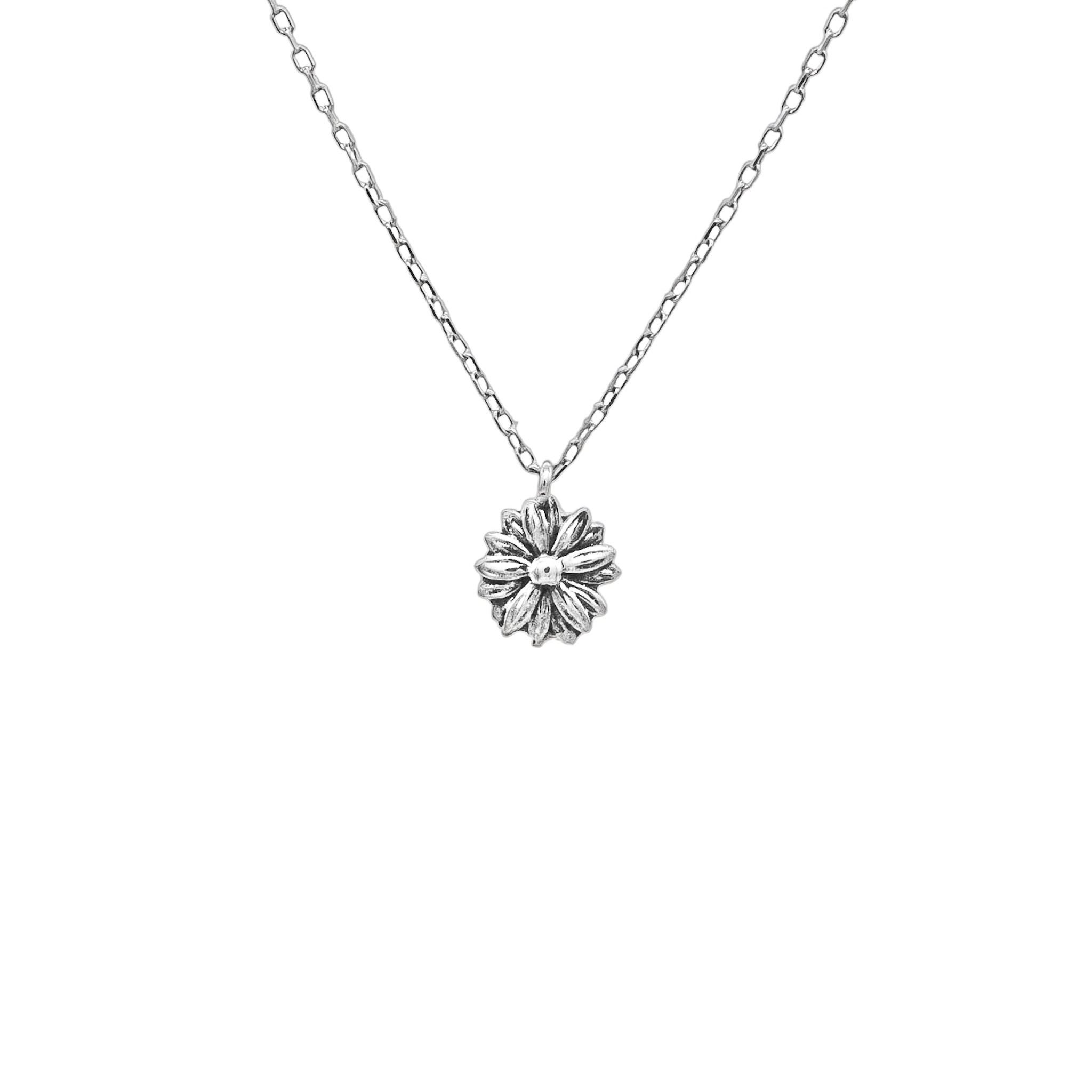 Daisy main variant image
