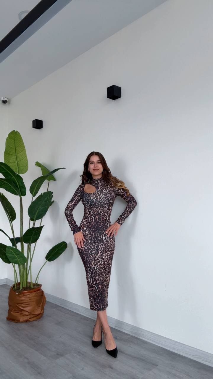 Kadın Leopar Desenli Uzun Kollu Cut-Out Elbise